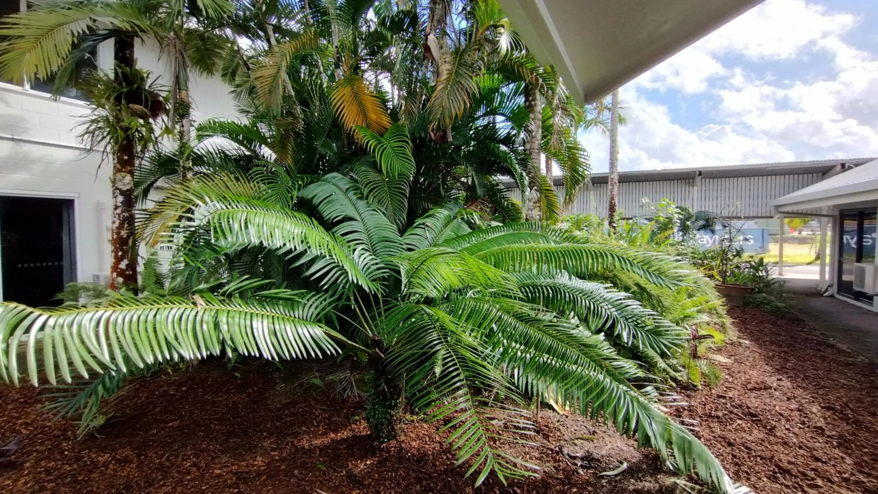 Garden in Tully Motel