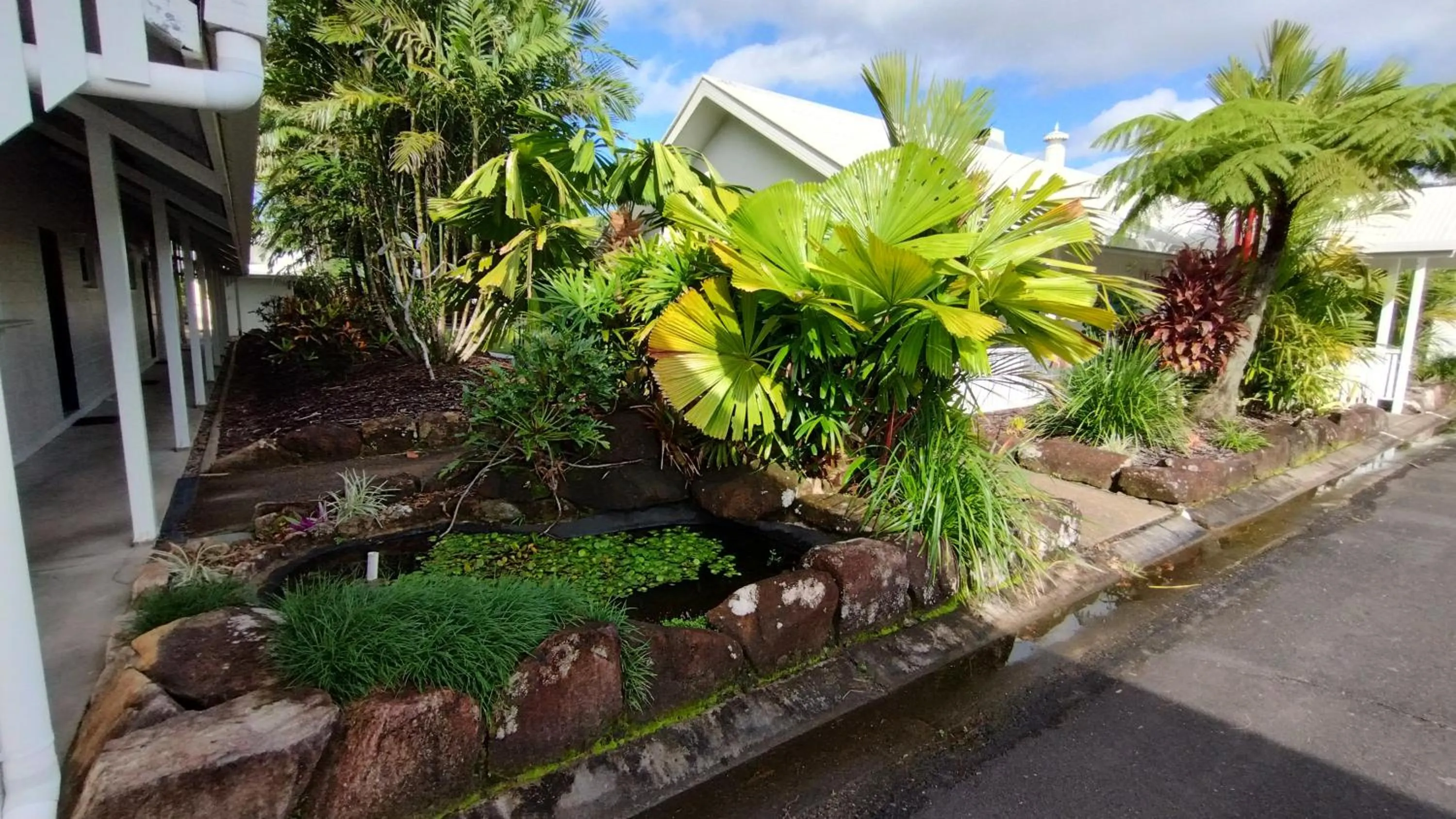 Garden in Tully Motel
