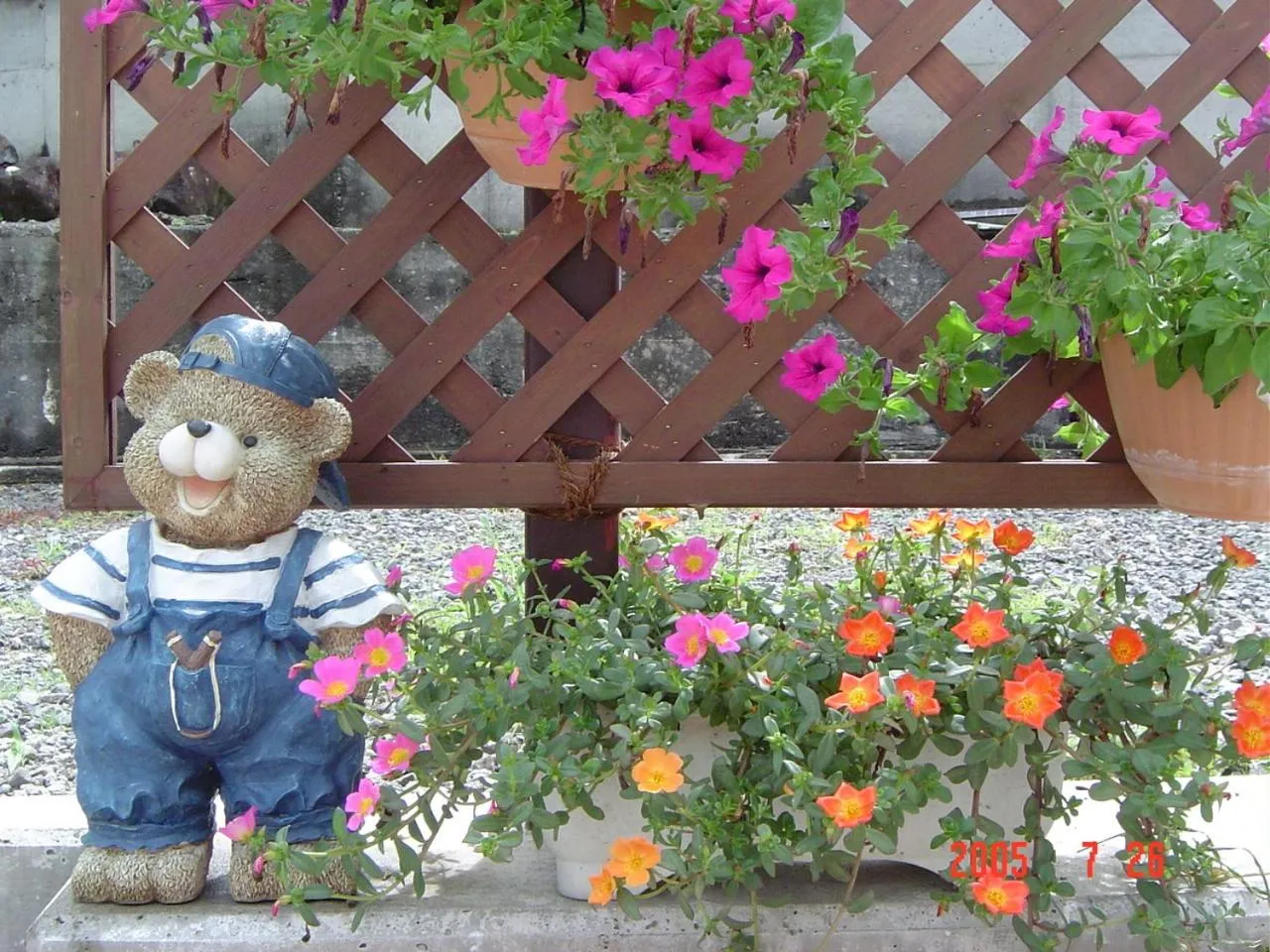 Day in Peanuts House Kumakuma