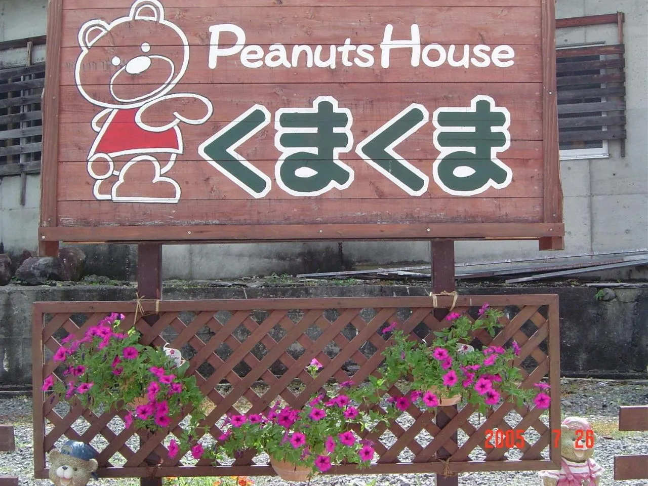 Day in Peanuts House Kumakuma