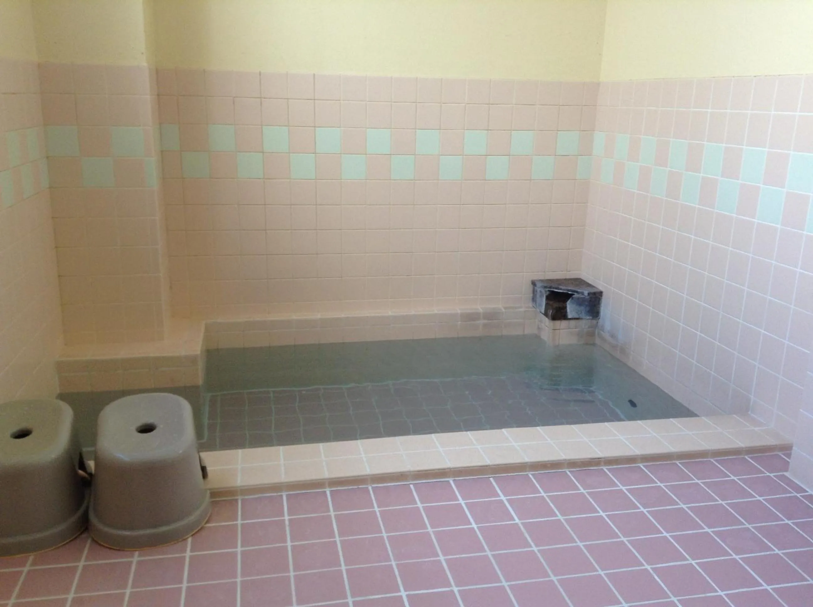 Swimming pool in Peanuts House Kumakuma