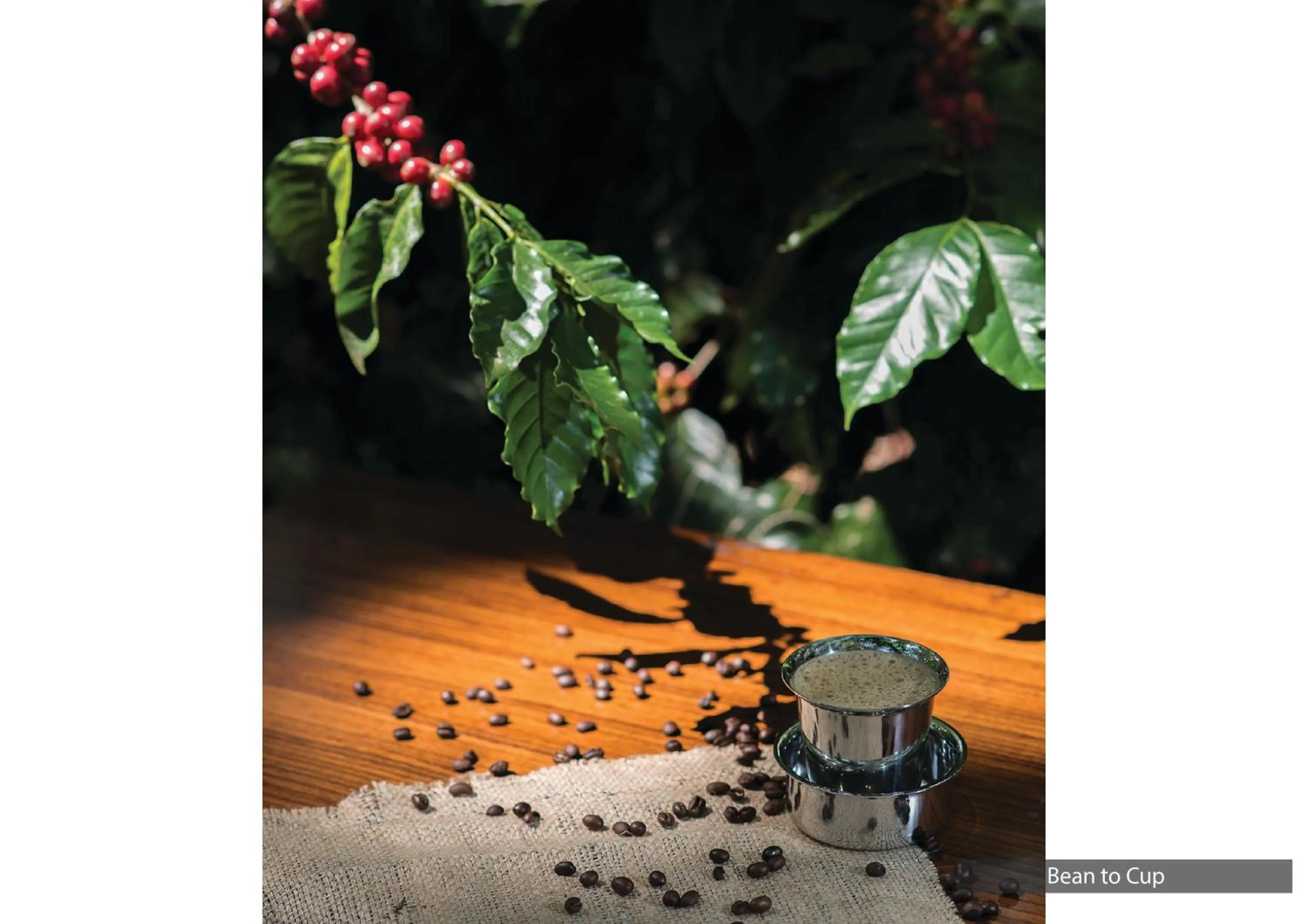 The Serai Chickmagalur