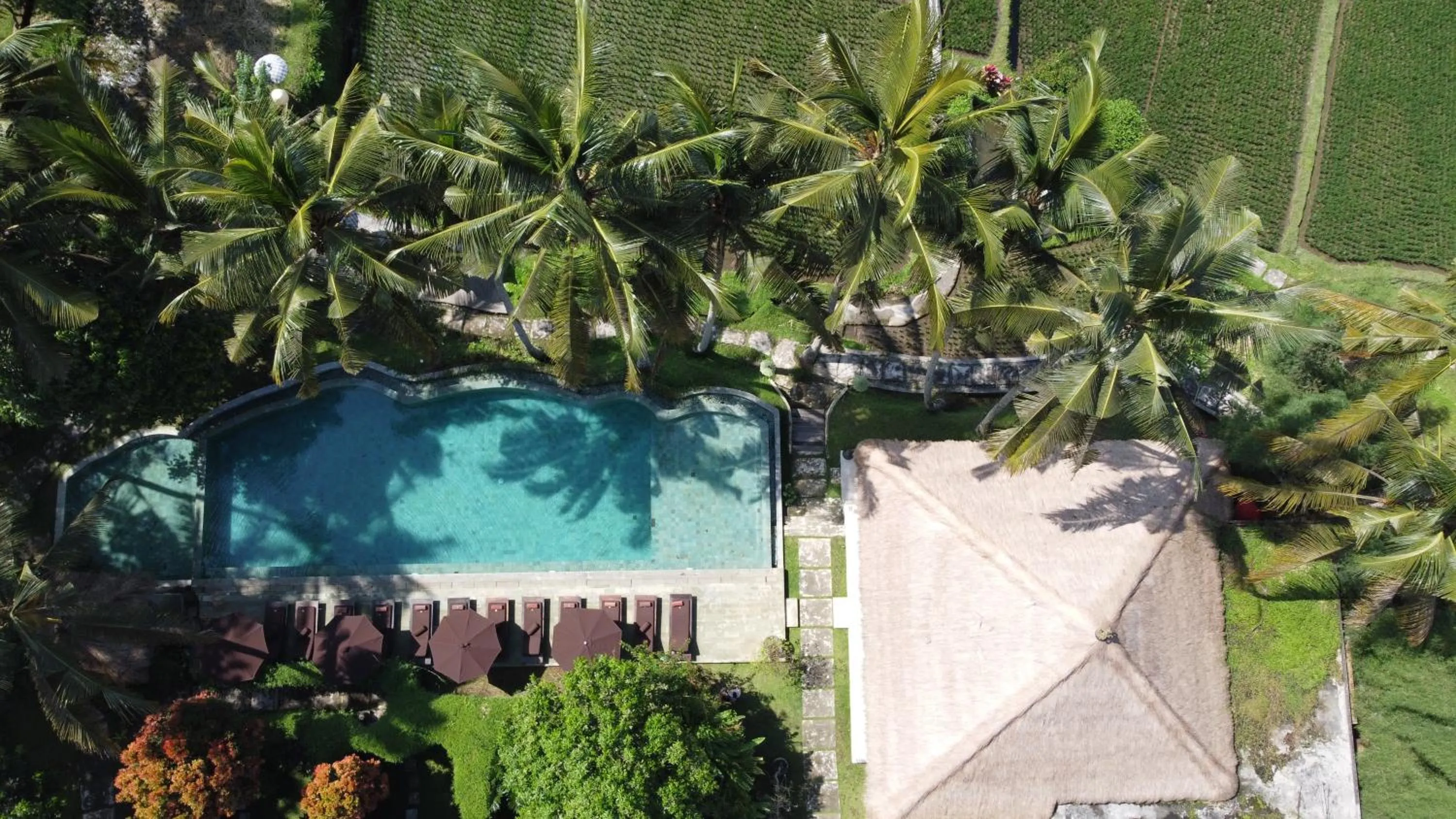 Swimming pool in MATHIS Retreat Ubud