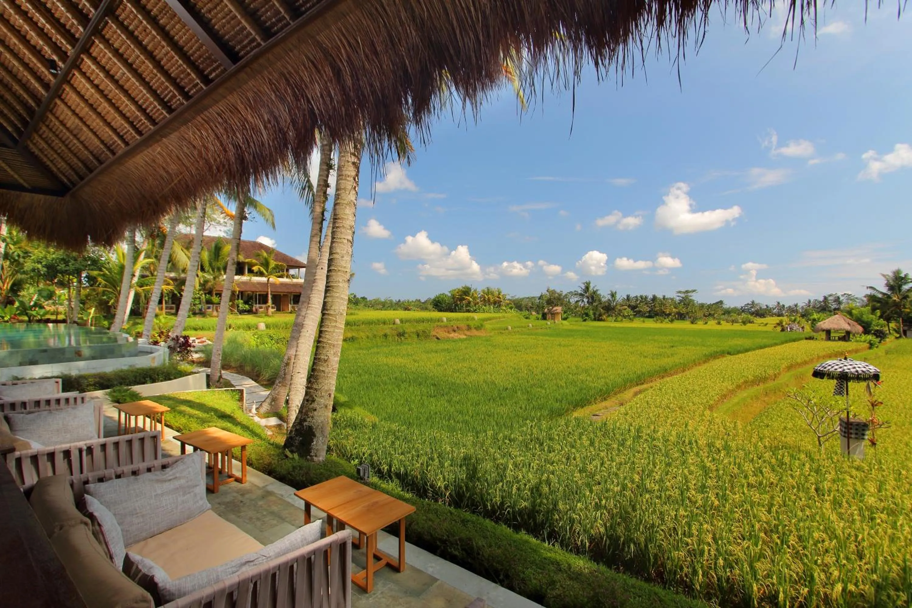 Restaurant/places to eat in MATHIS Retreat Ubud