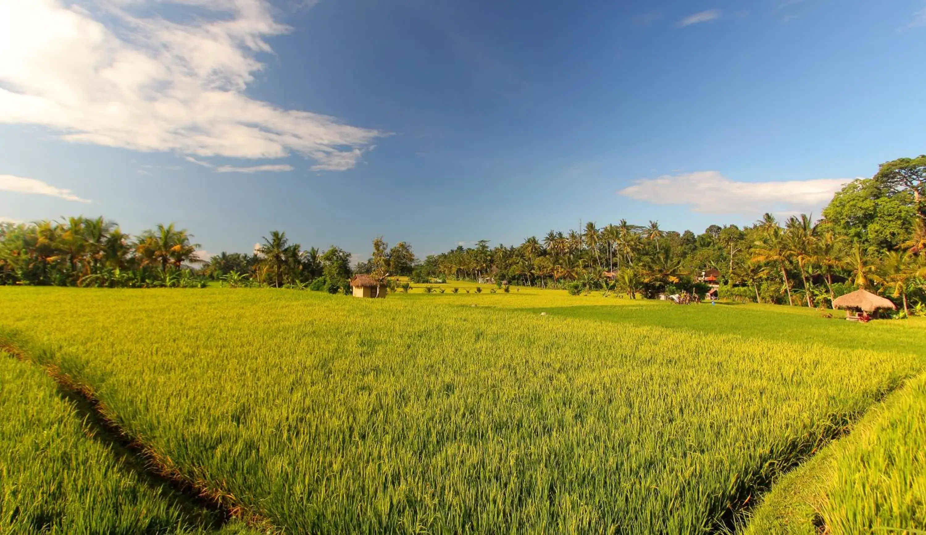 Property building in MATHIS Retreat Ubud Property building in MATHIS Retreat Ubud
