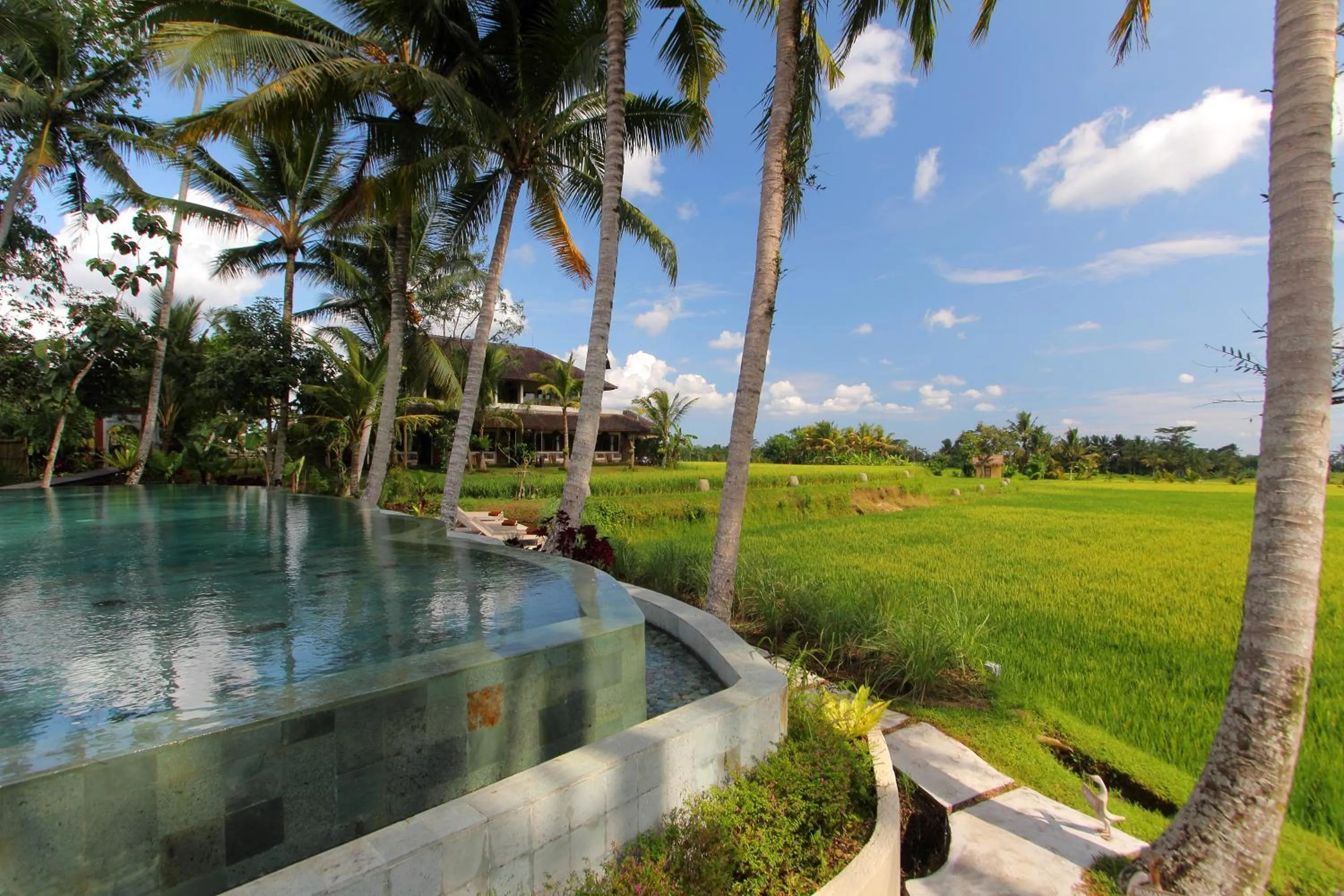 Natural landscape in MATHIS Retreat Ubud