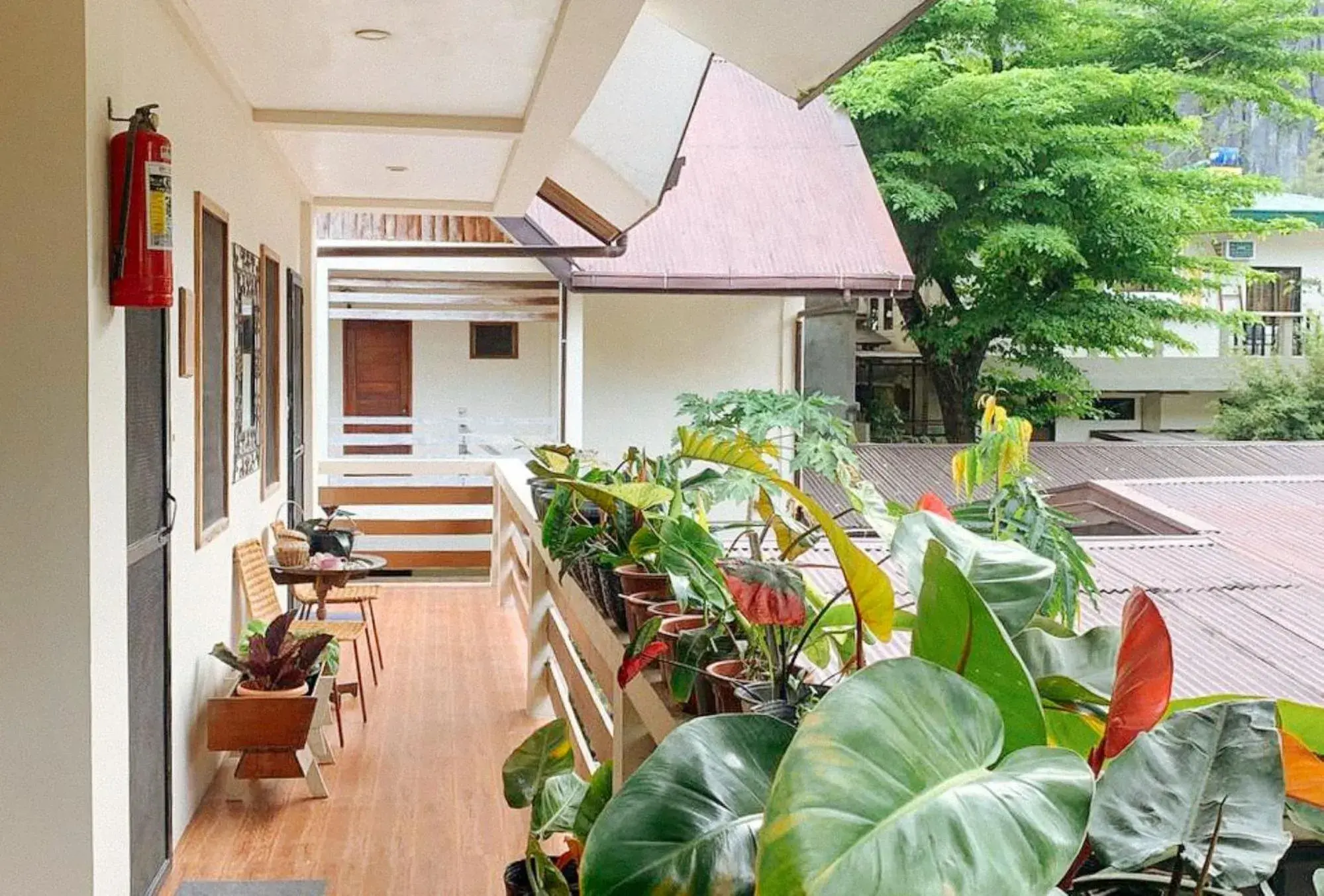 Property building in UrbanView BNKY Bed and Breakfast Palawan by RedDoorz Property building in UrbanView BNKY Bed and Breakfast Palawan by RedDoorz