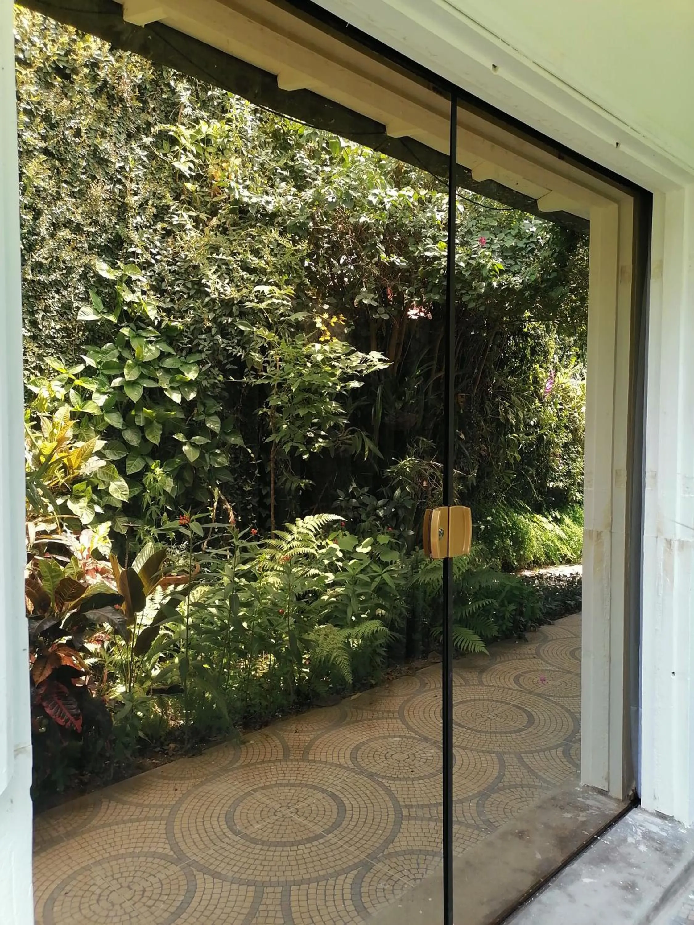 Garden view in Granados