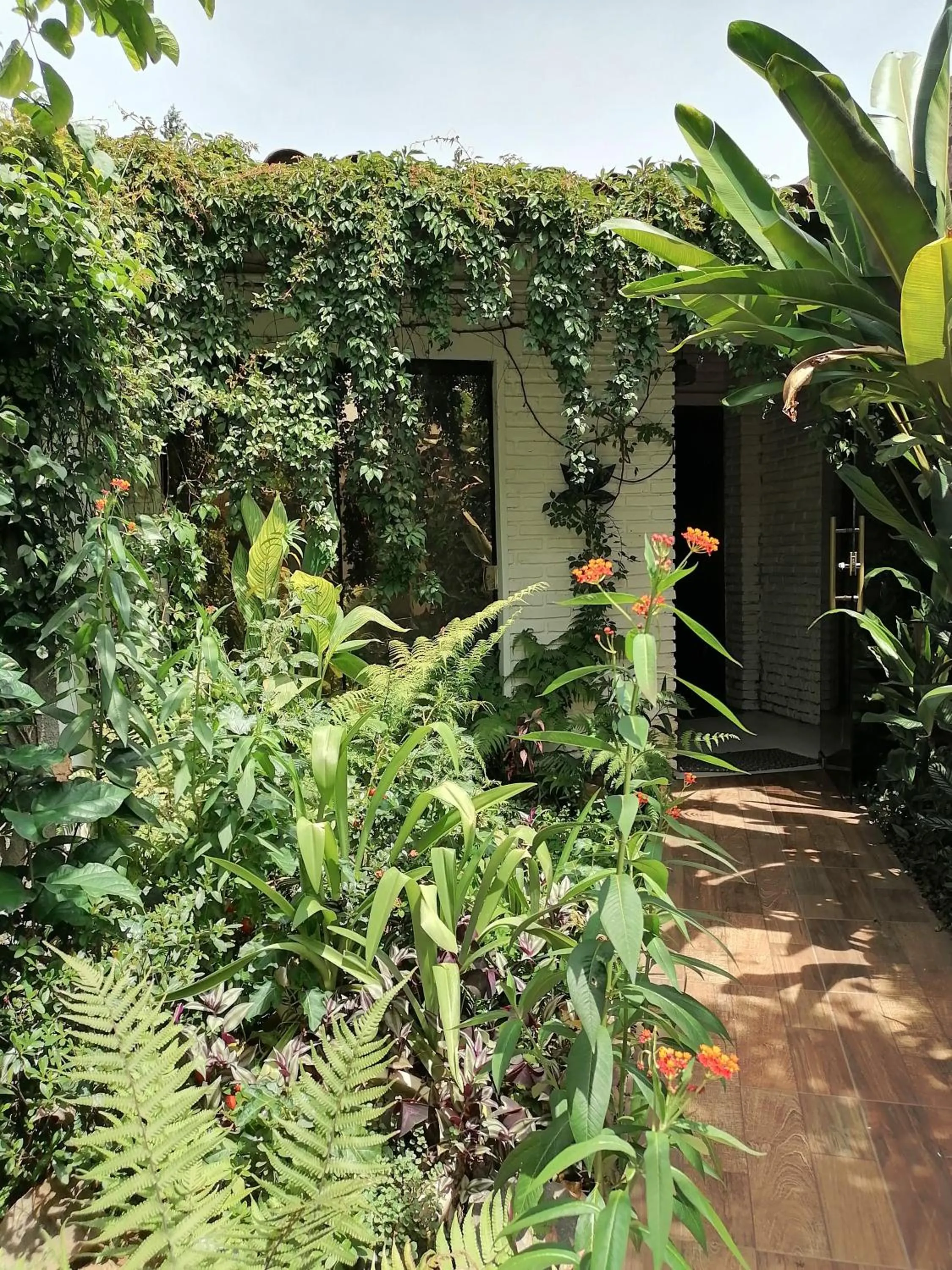 Natural landscape in Granados