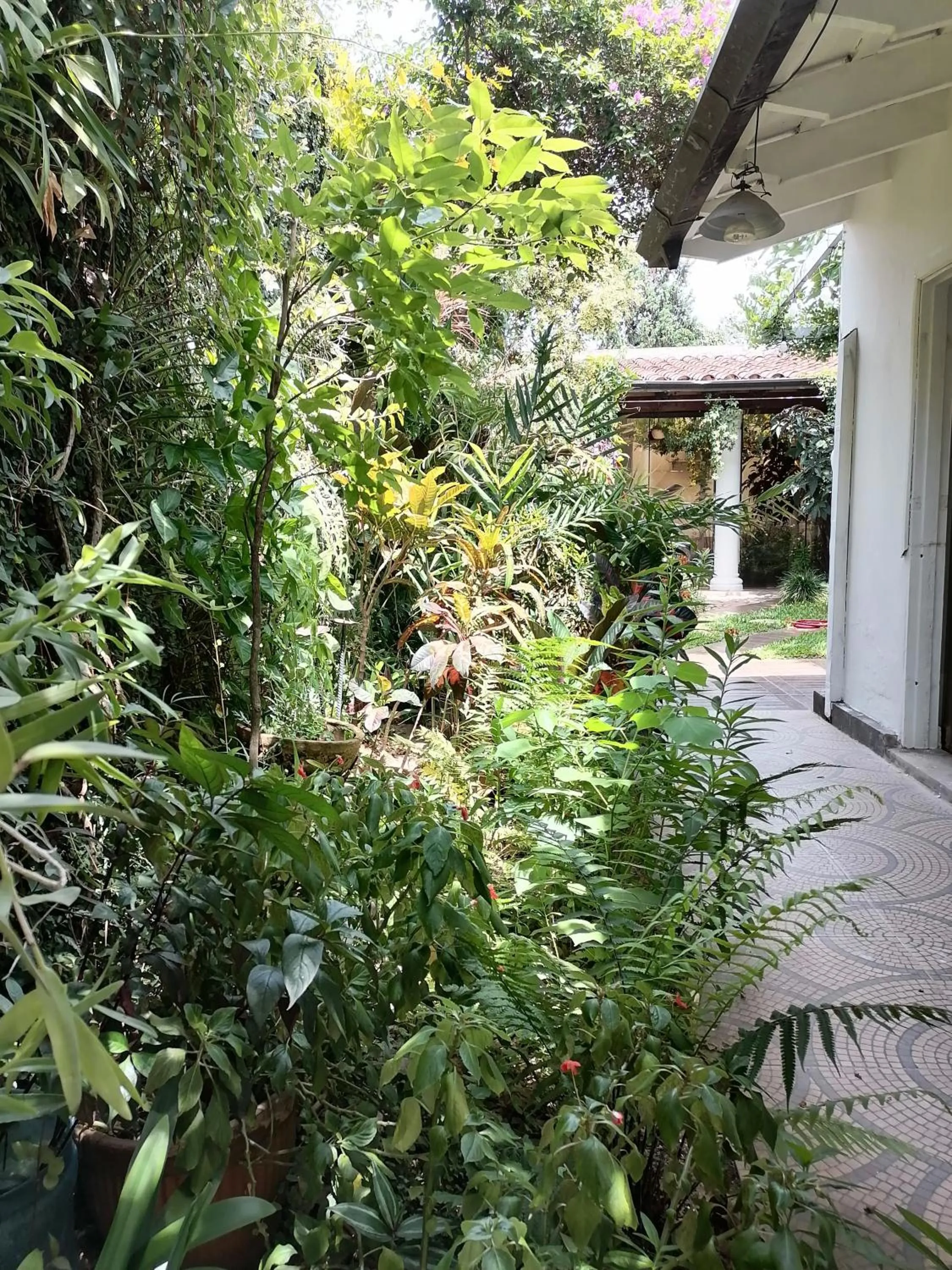 Property building in Granados