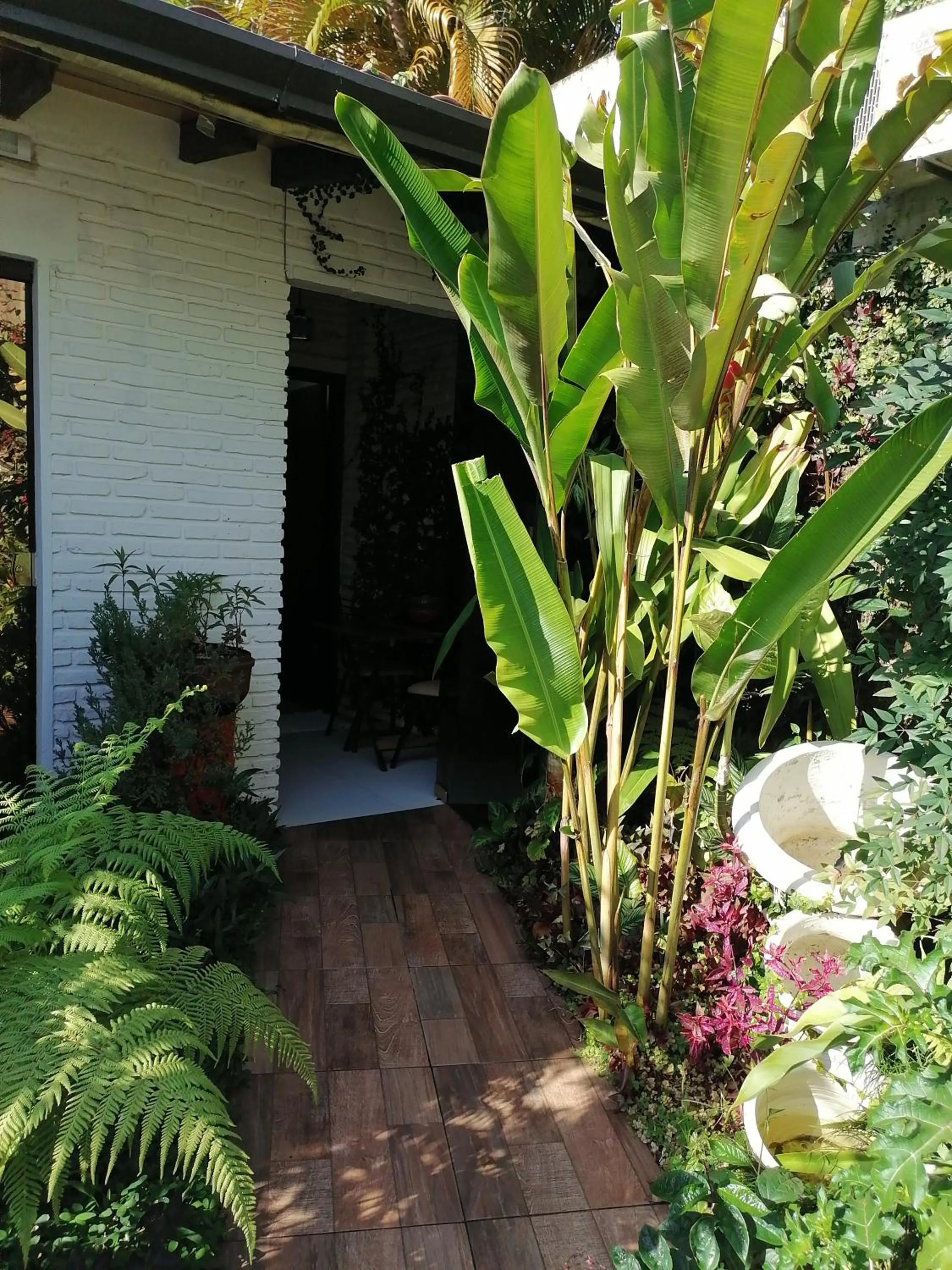 Garden view in Granados