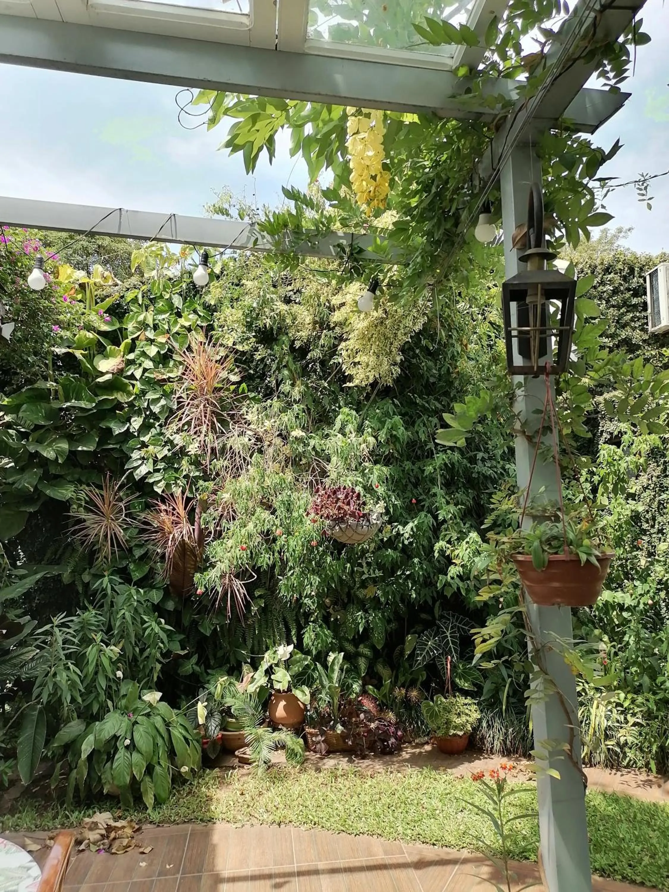 Garden view in Granados