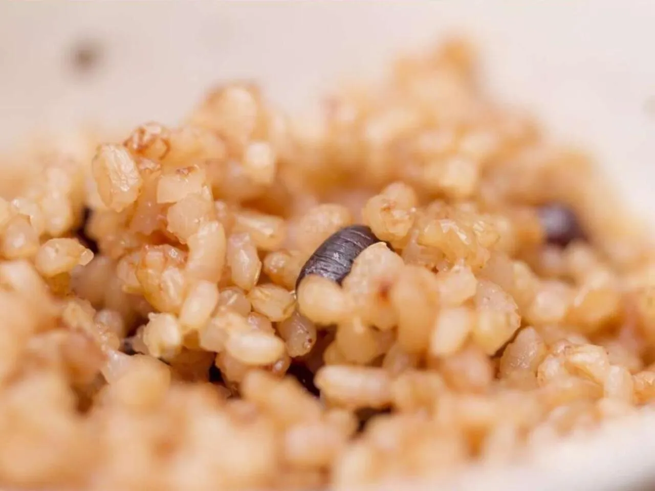 Food in Yugawara Retreat Goen no Mori