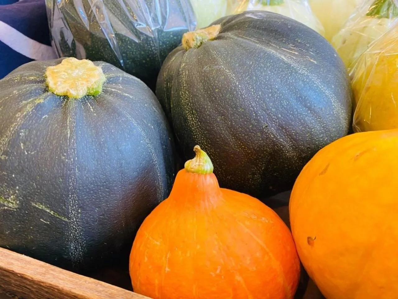 Food in Yugawara Retreat Goen no Mori