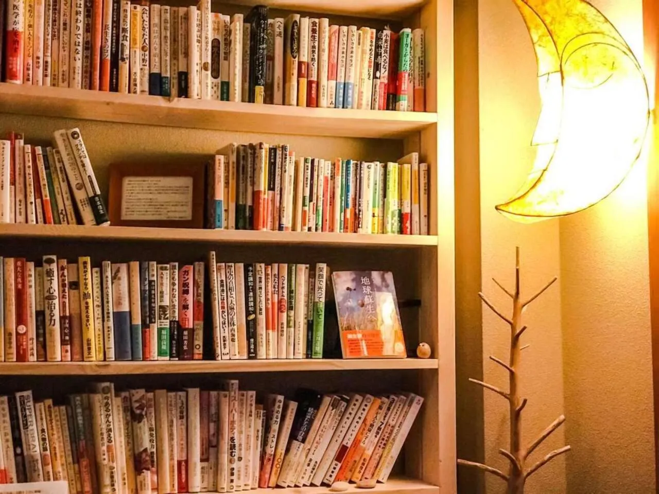 Library in Yugawara Retreat Goen no Mori