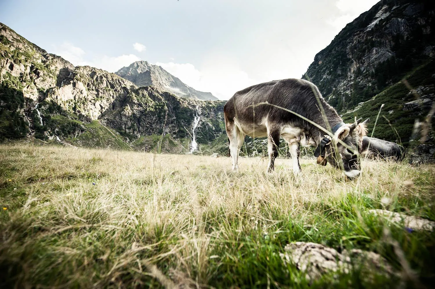 Natural landscape in Alpenpension Pfurtscheller