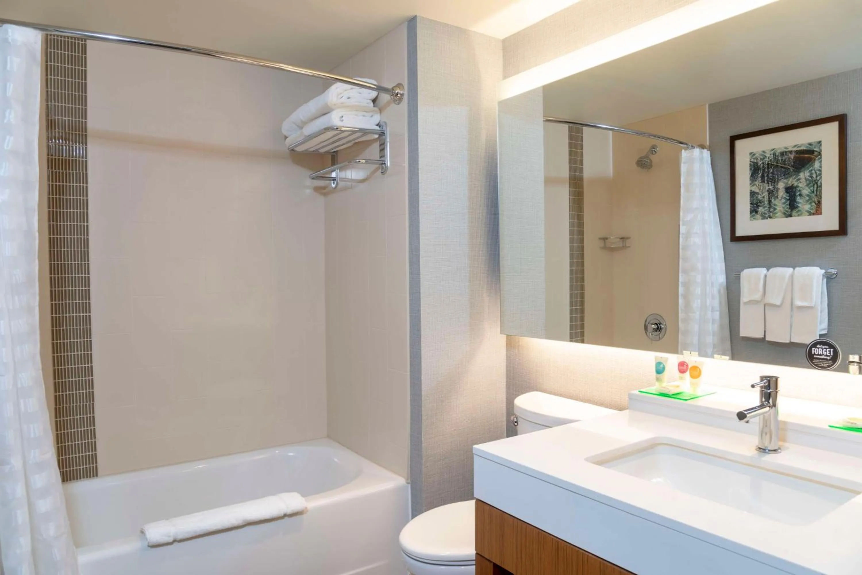 Bathroom in Hyatt Place Detroit/Royal Oak