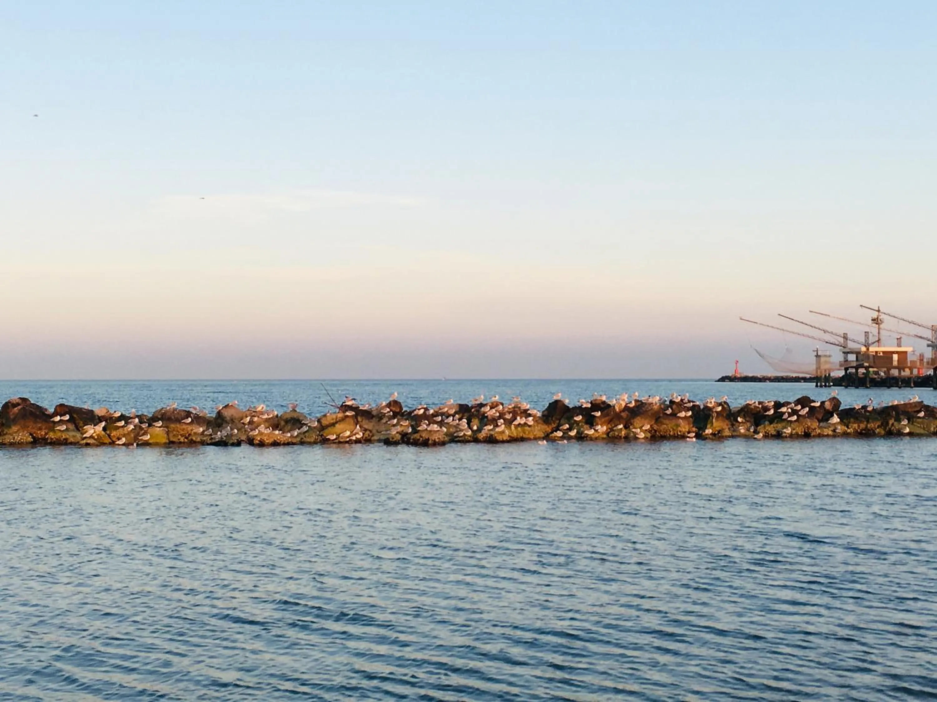 Beach in Michelangelo Holiday & Family Resort