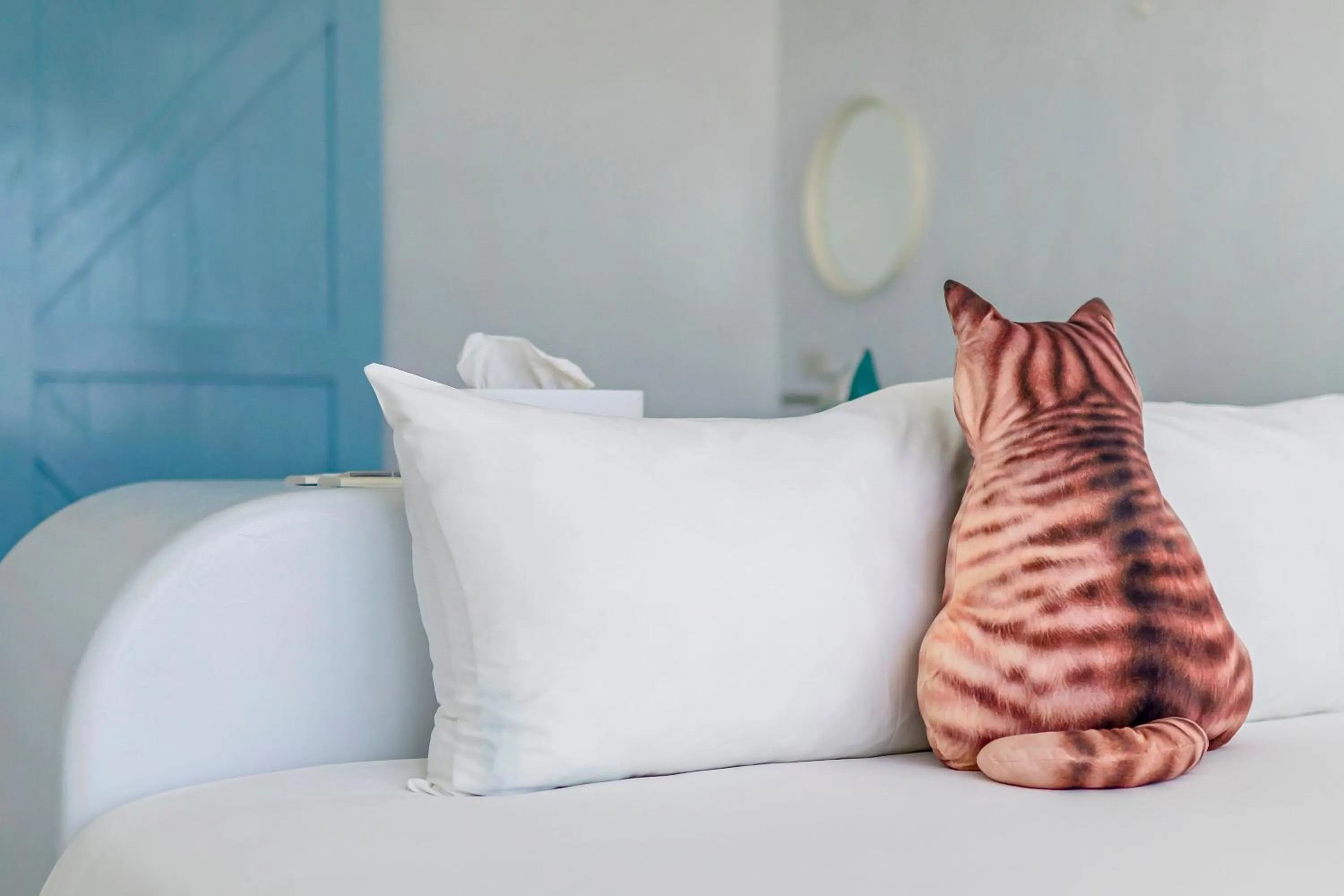 Bed in Cat at Greece