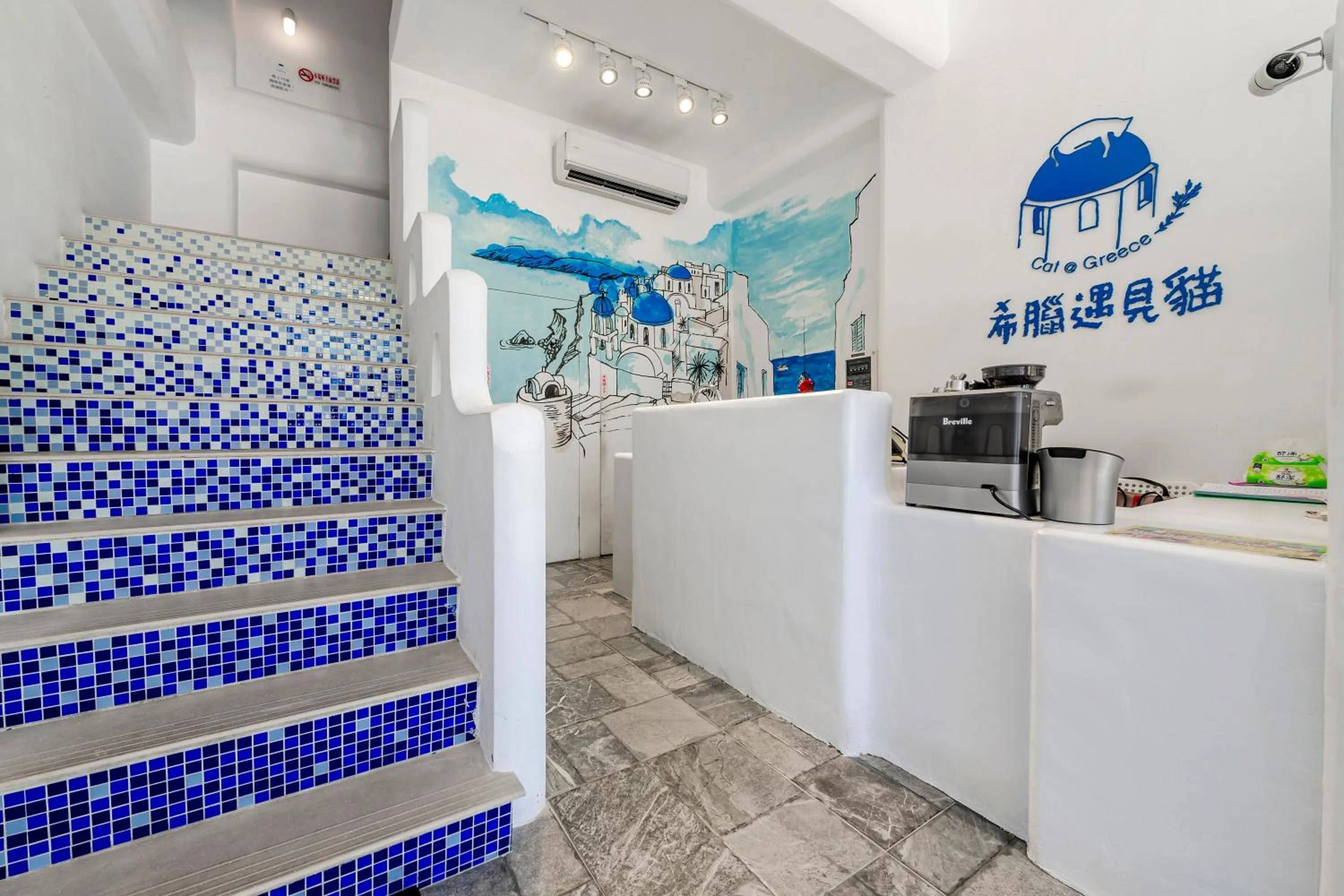 Kitchen or kitchenette in Cat at Greece