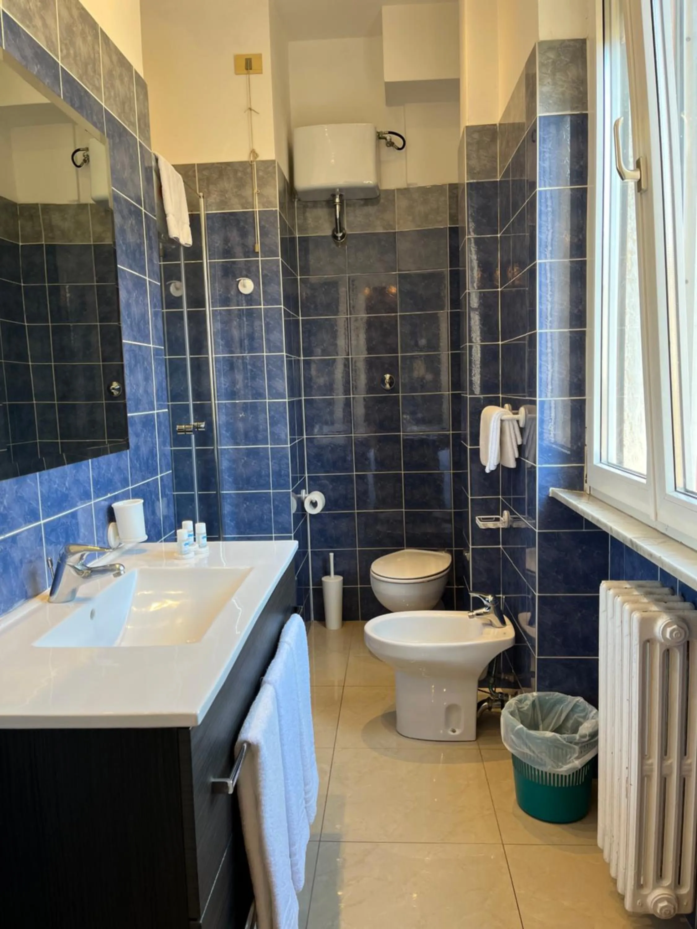 Shower in Hotel Europa Parking