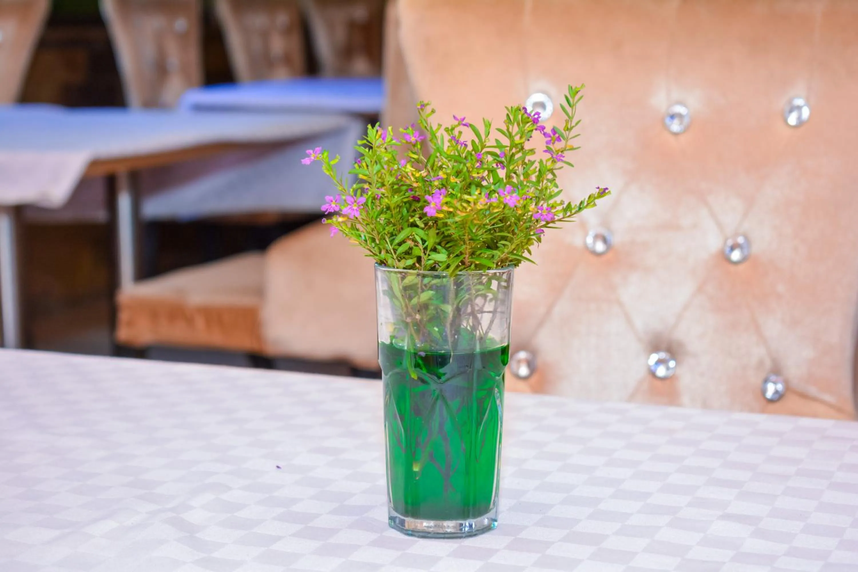 Restaurant/places to eat in Omega Gardens Hotel