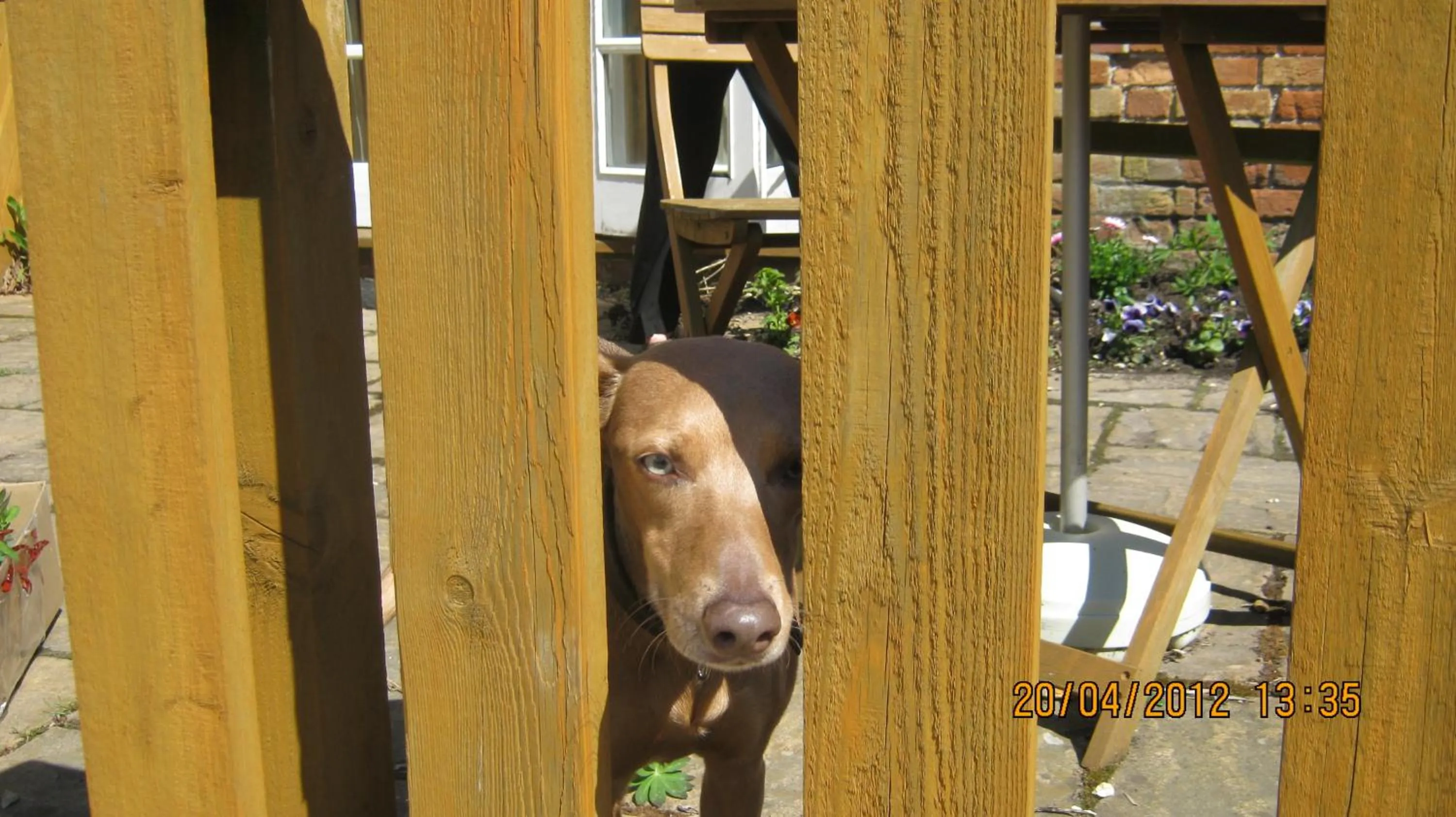 People in Turfcutters Arms