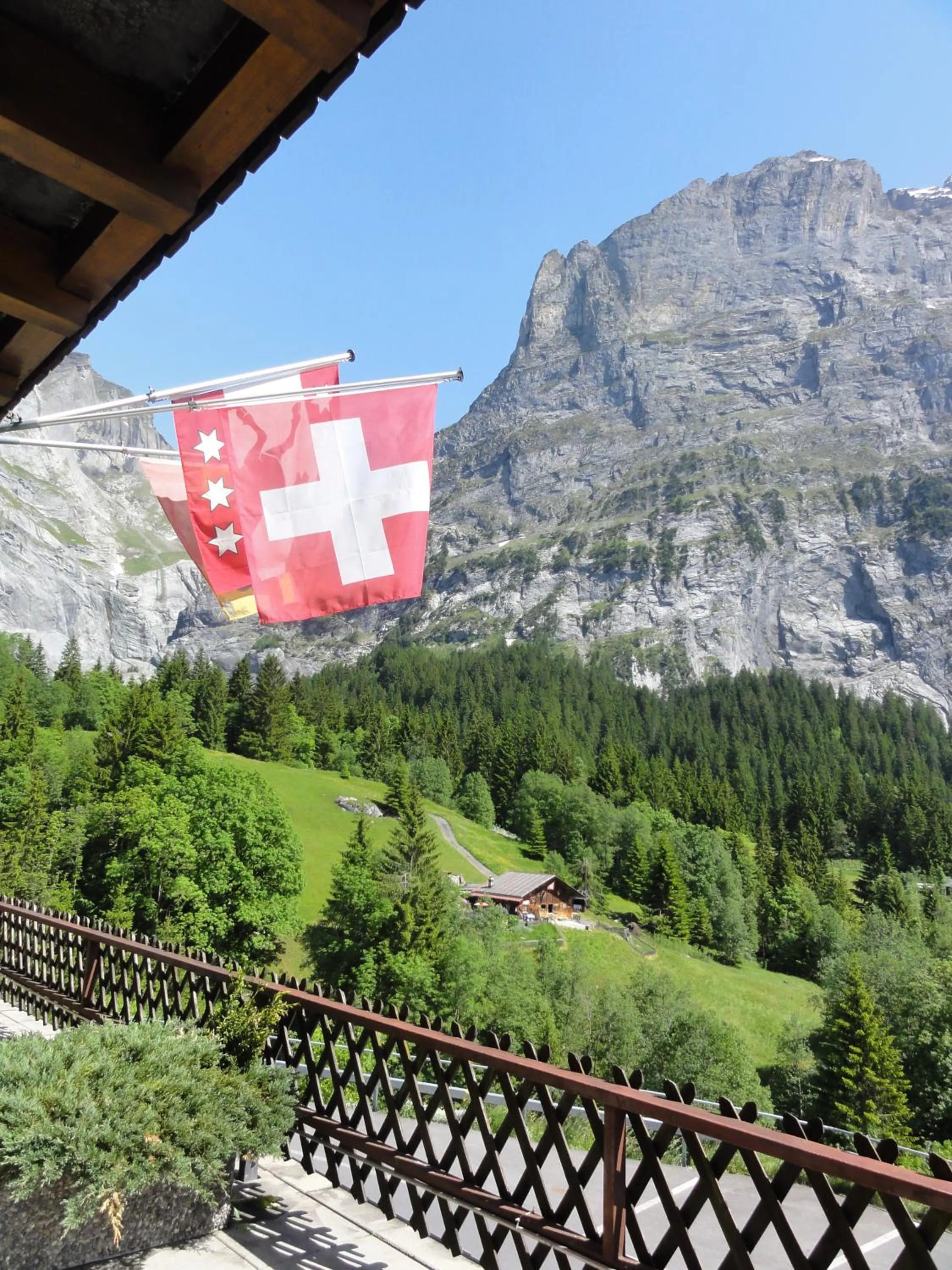 Balcony/Terrace in Hotel Blümlisalp