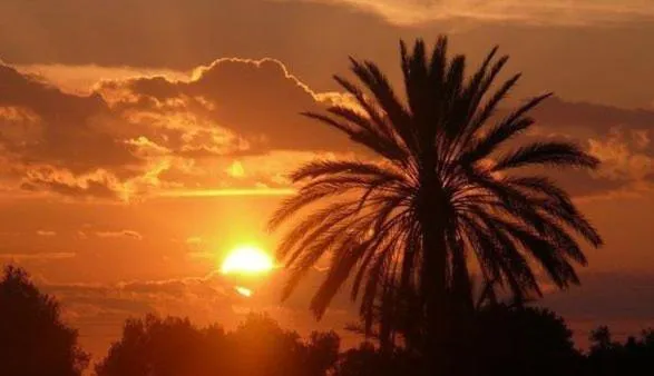 Sunset in Riad Dalia