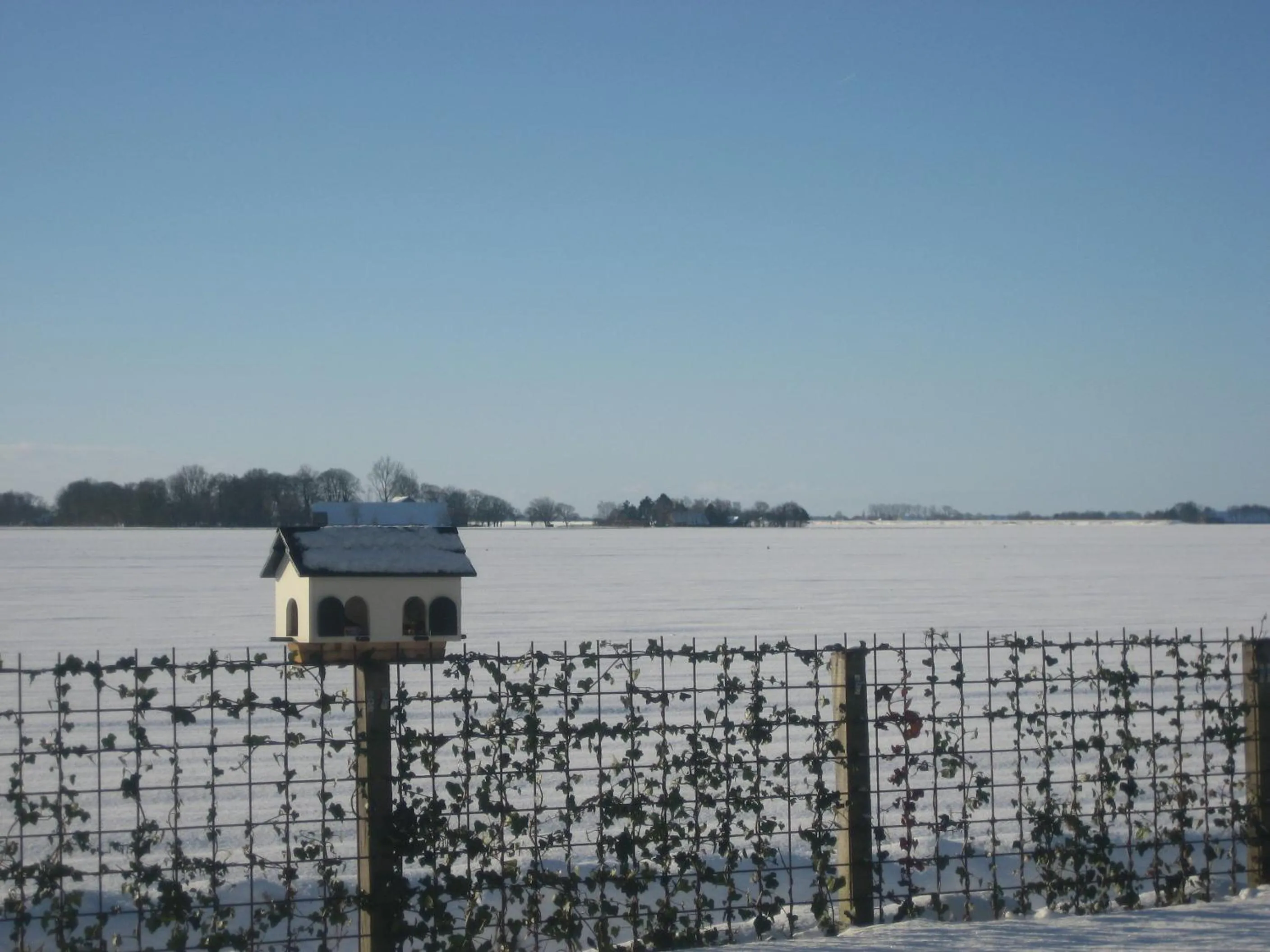 View (from property/room) in Bed & Breakfast Rheiderland