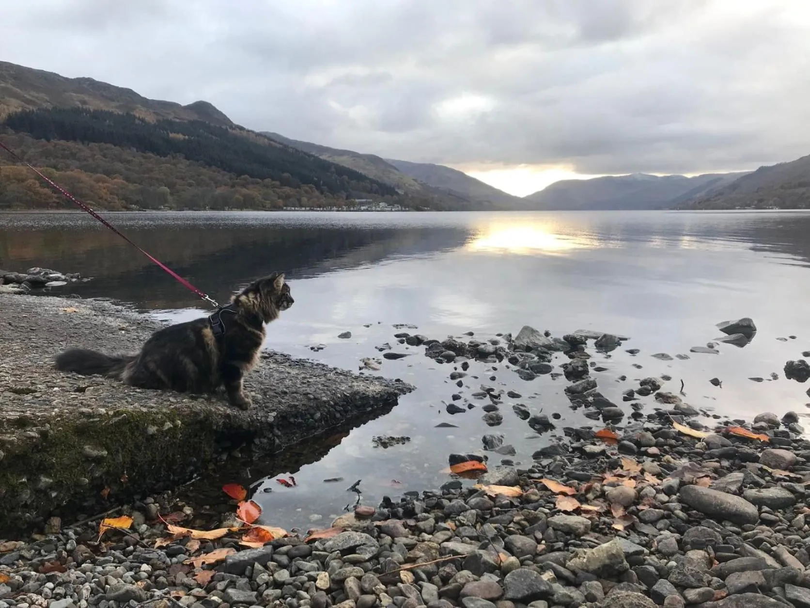 Beach in The Four Seasons Hotel