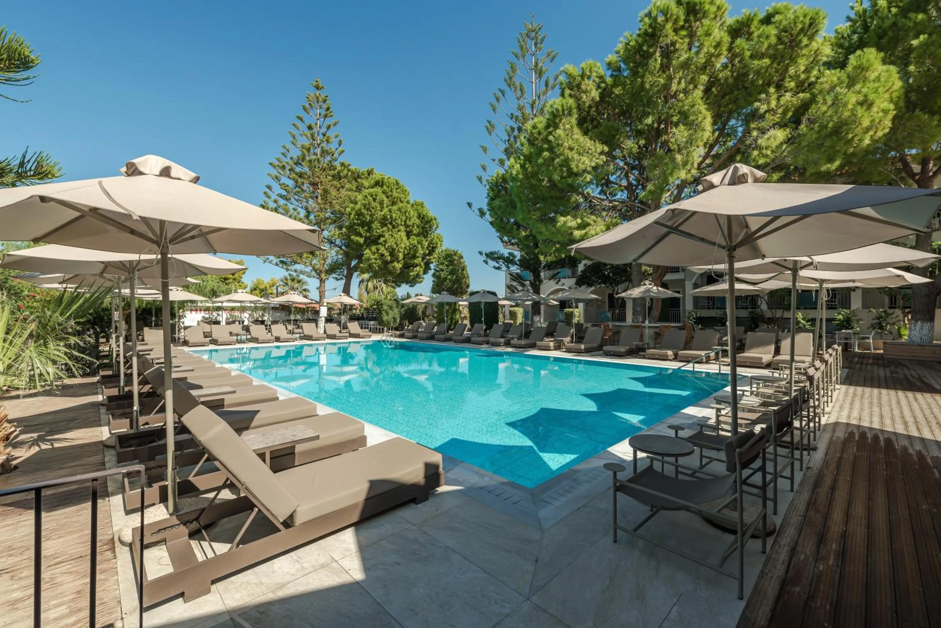 Swimming pool in Contessa Hotel