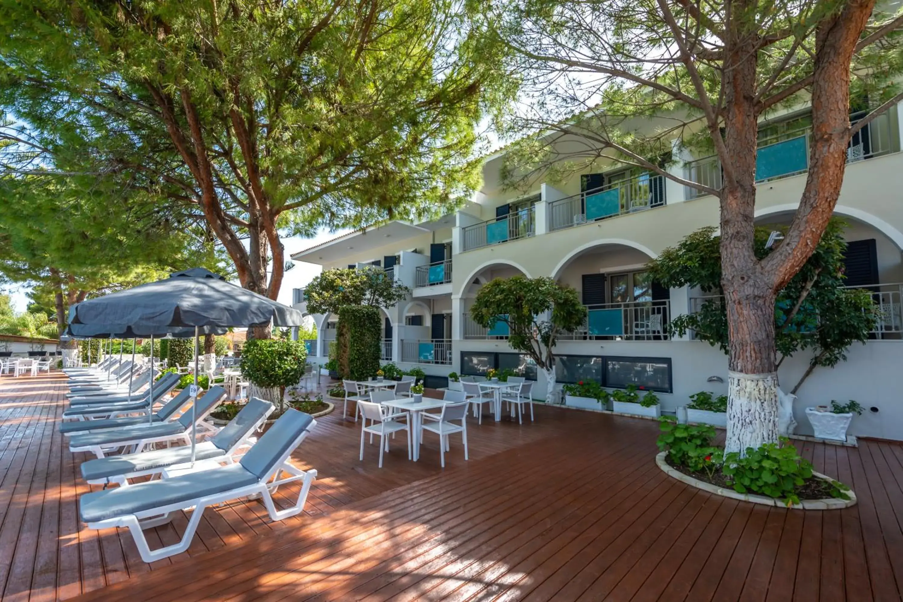 Swimming pool in Contessa Hotel Swimming pool in Contessa Hotel