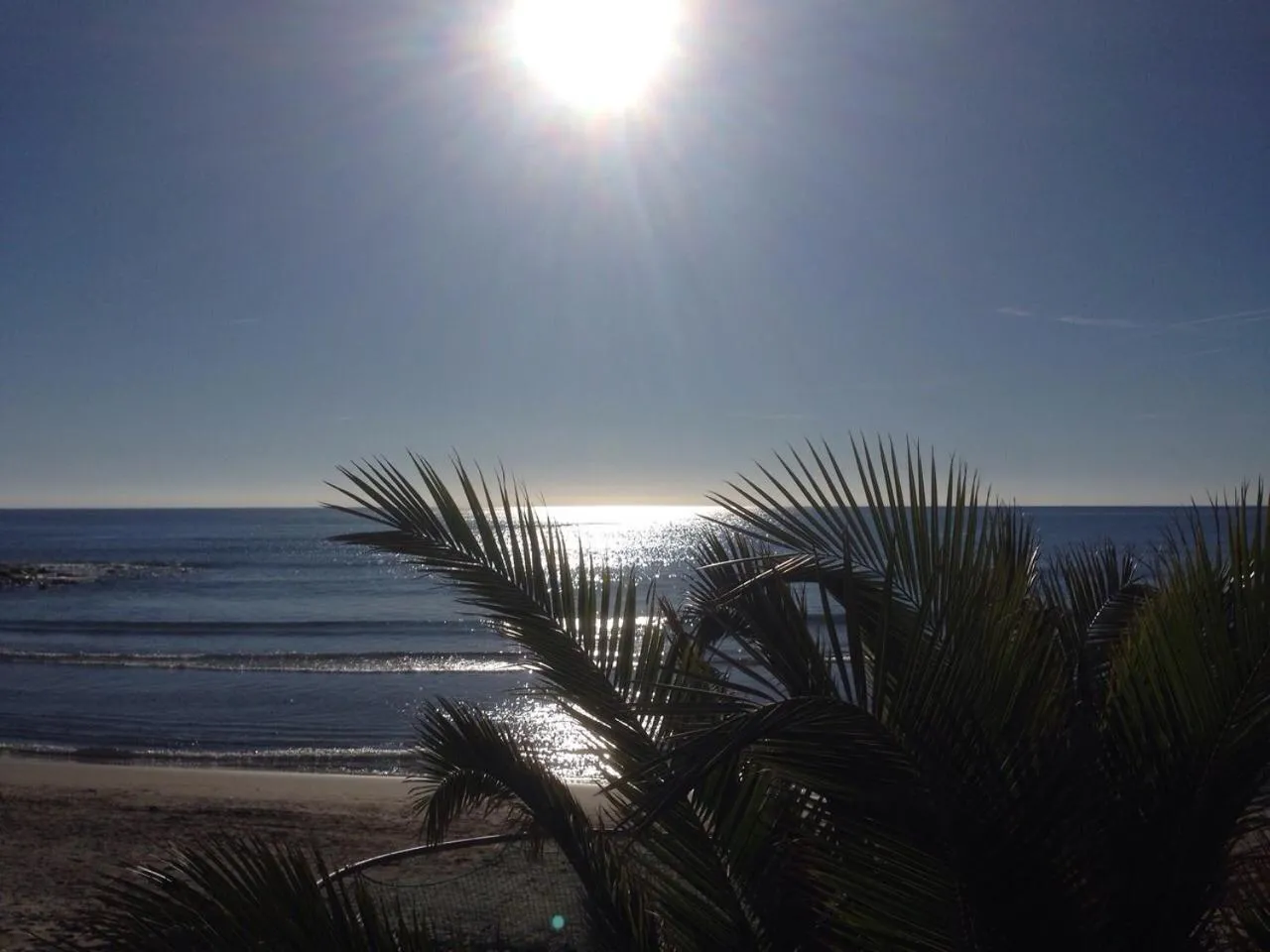 Natural landscape in Hotel Mambo