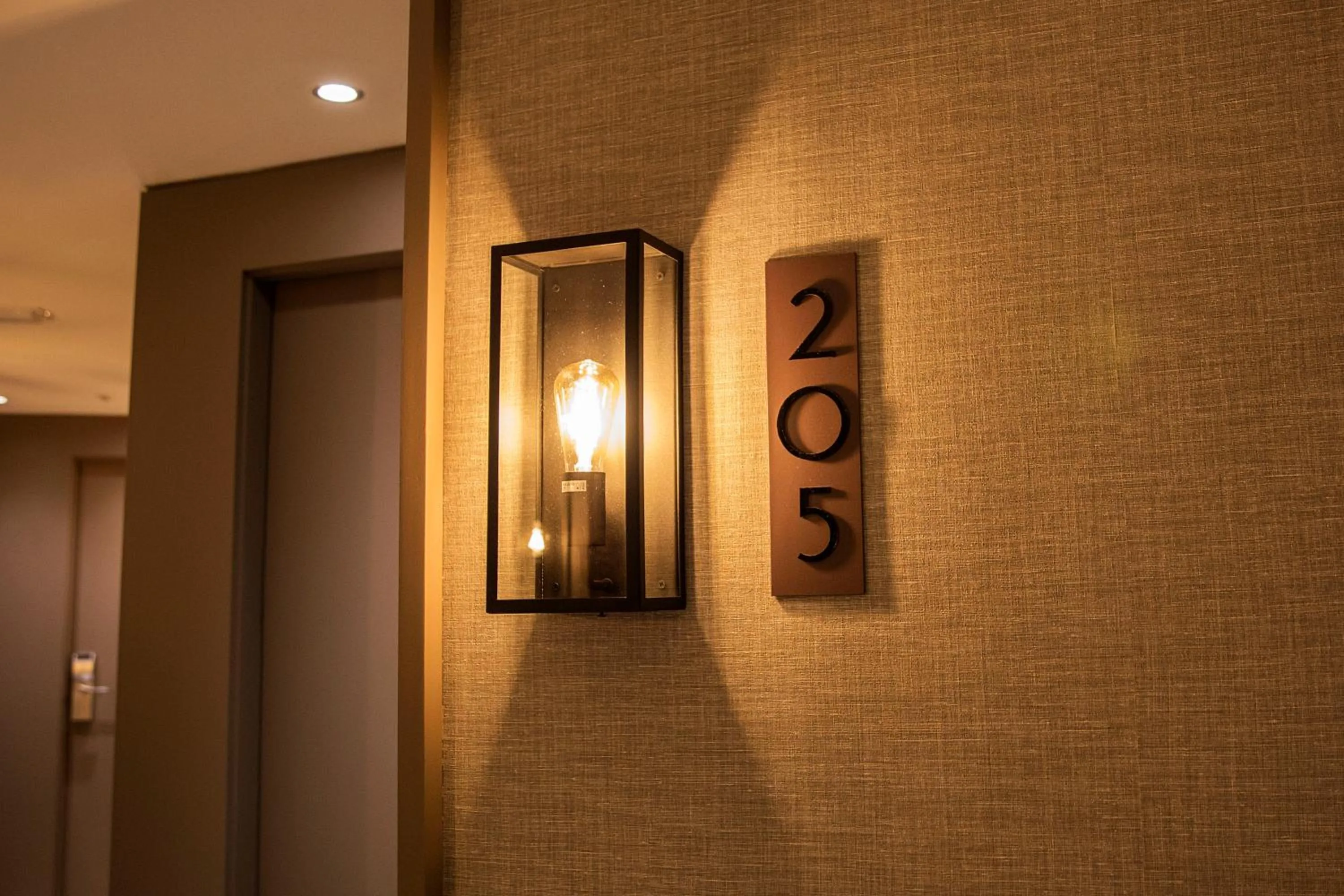 Area and facilities in Zenit Lisboa