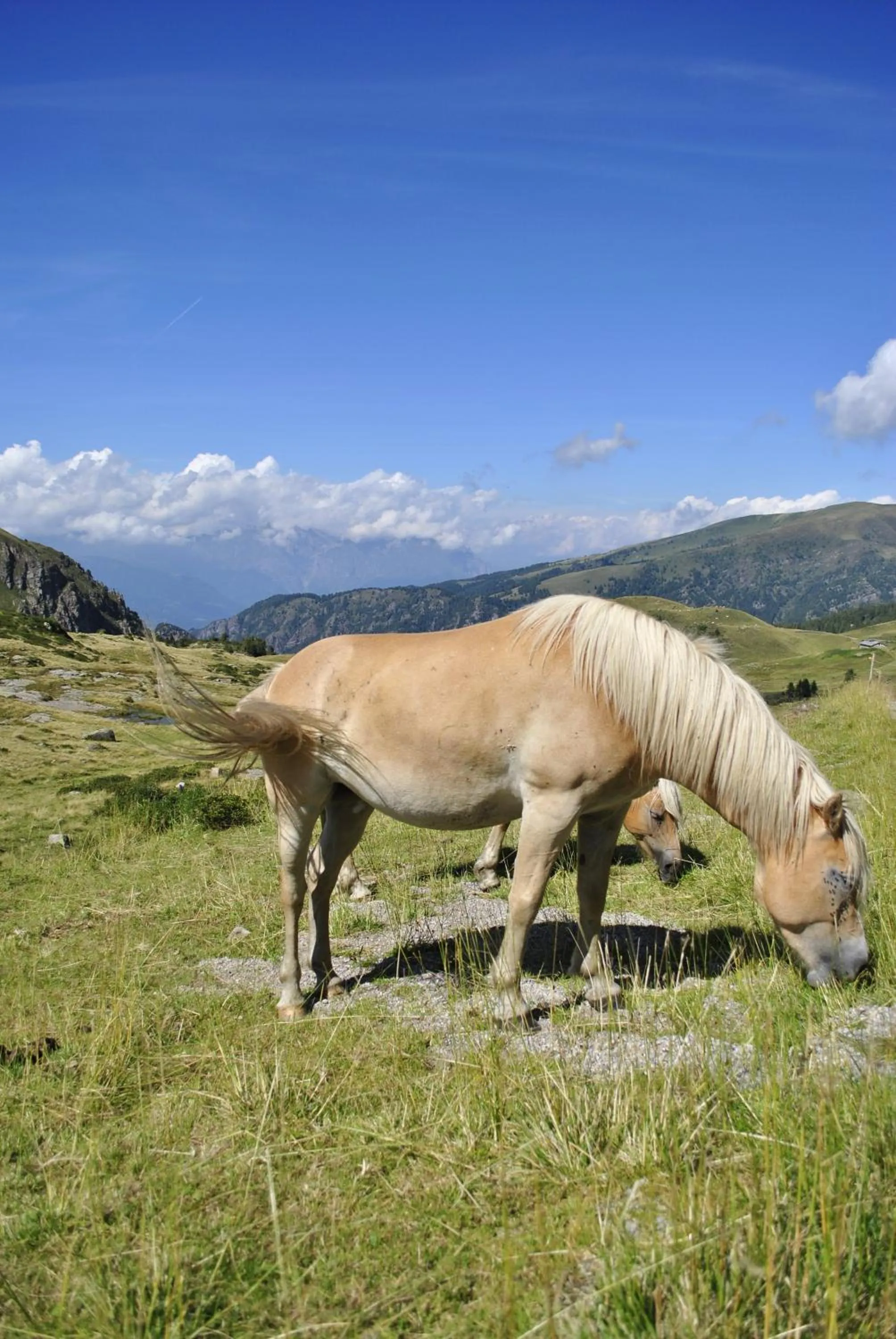 Natural landscape in Albergo Legazzuolo Montecampione
