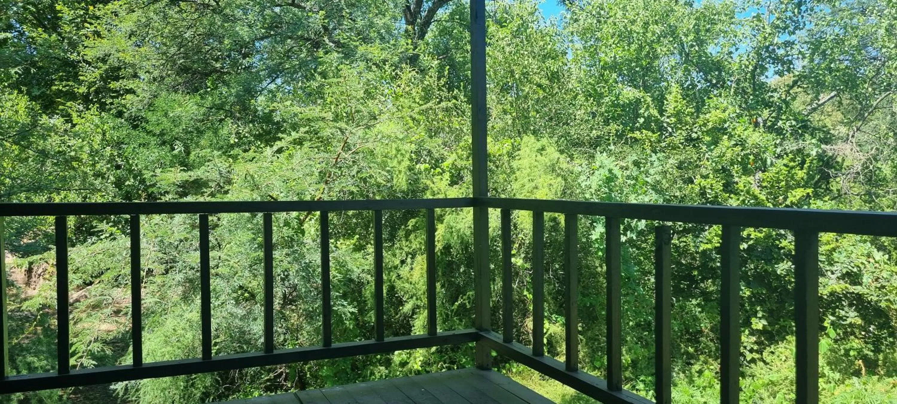 Day in River Rock Lodge