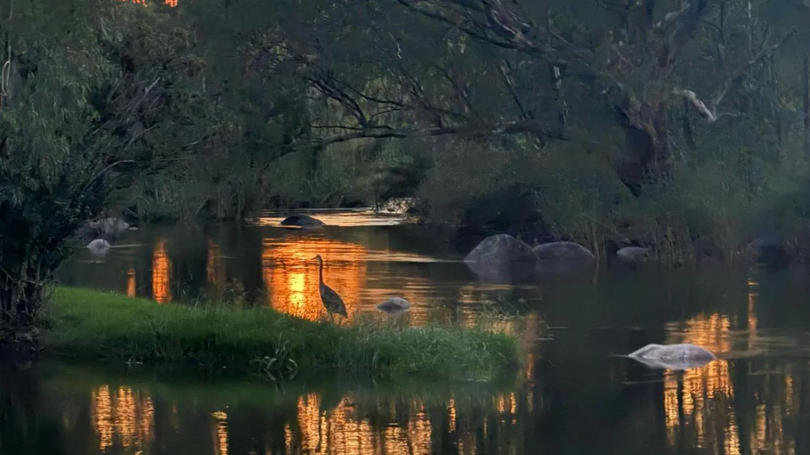 View (from property/room) in River Rock Lodge