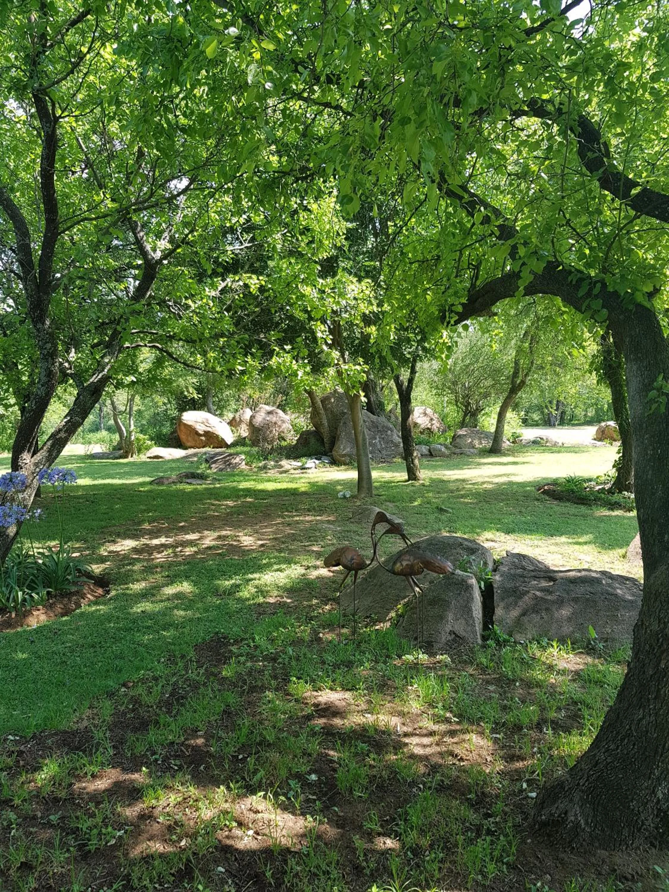 Garden view in River Rock Lodge