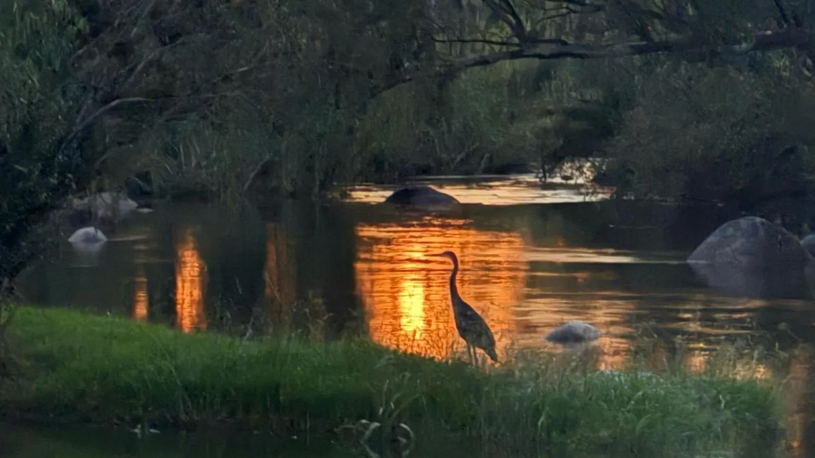 Natural landscape in River Rock Lodge