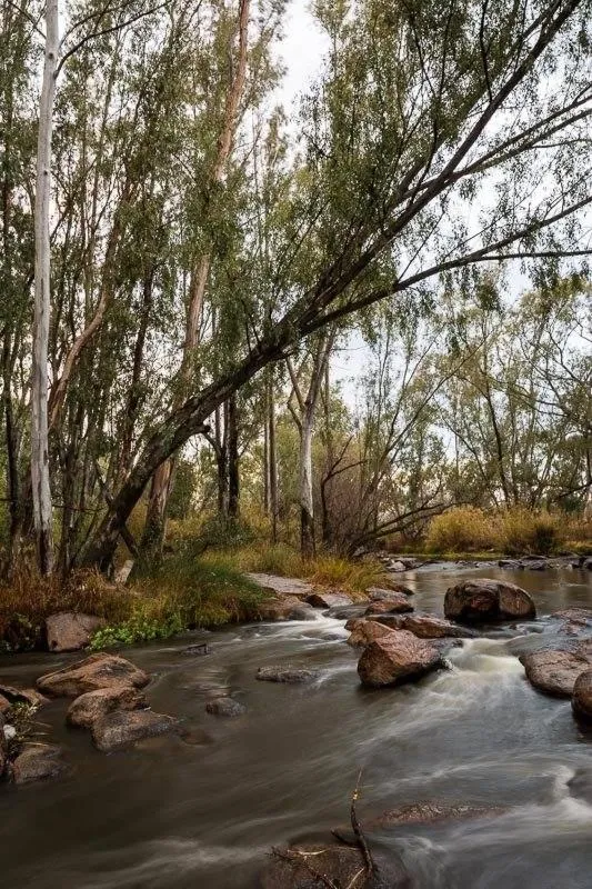 River view in River Rock Lodge