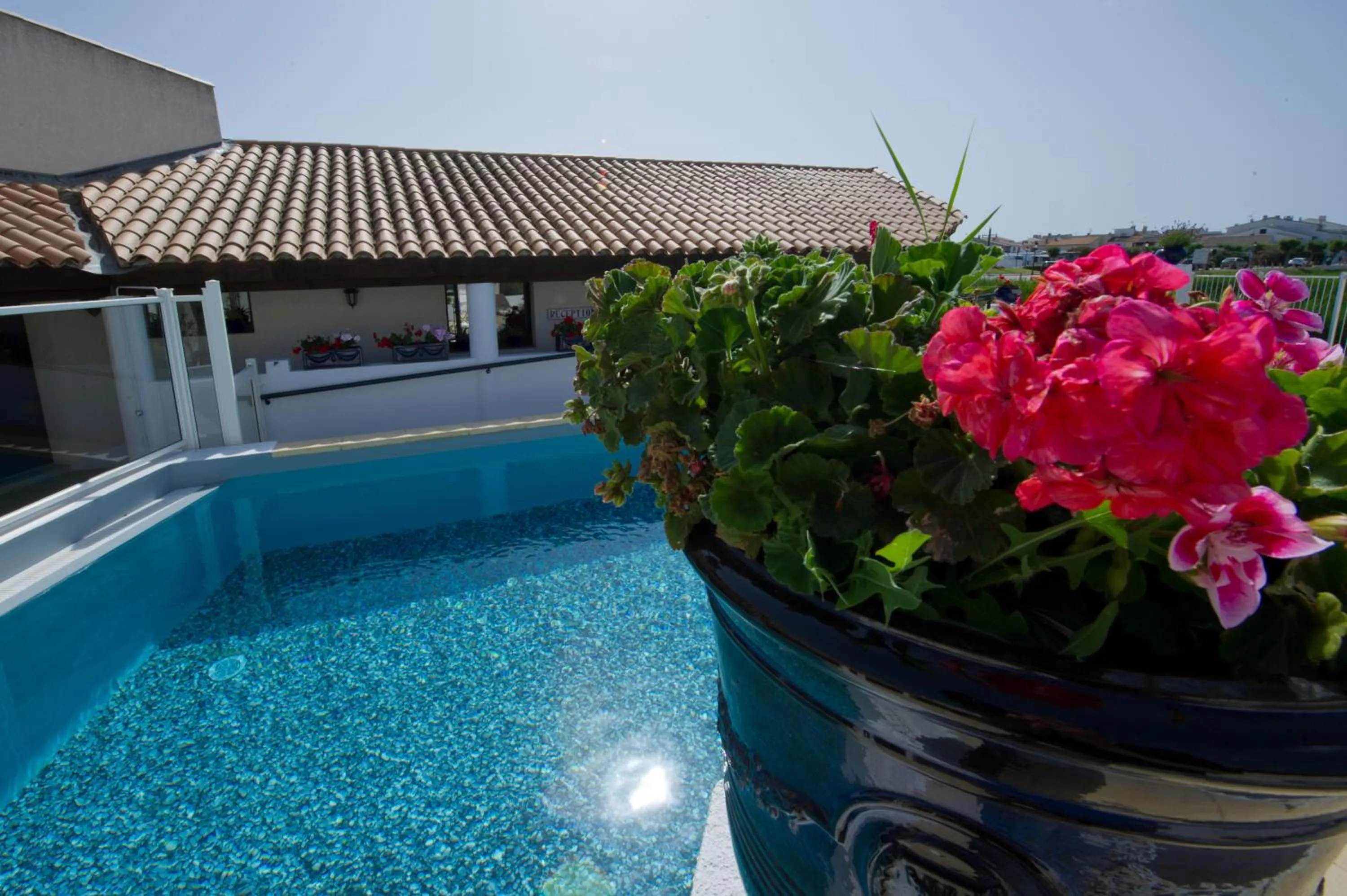 Swimming pool in Le Maset en Camargue