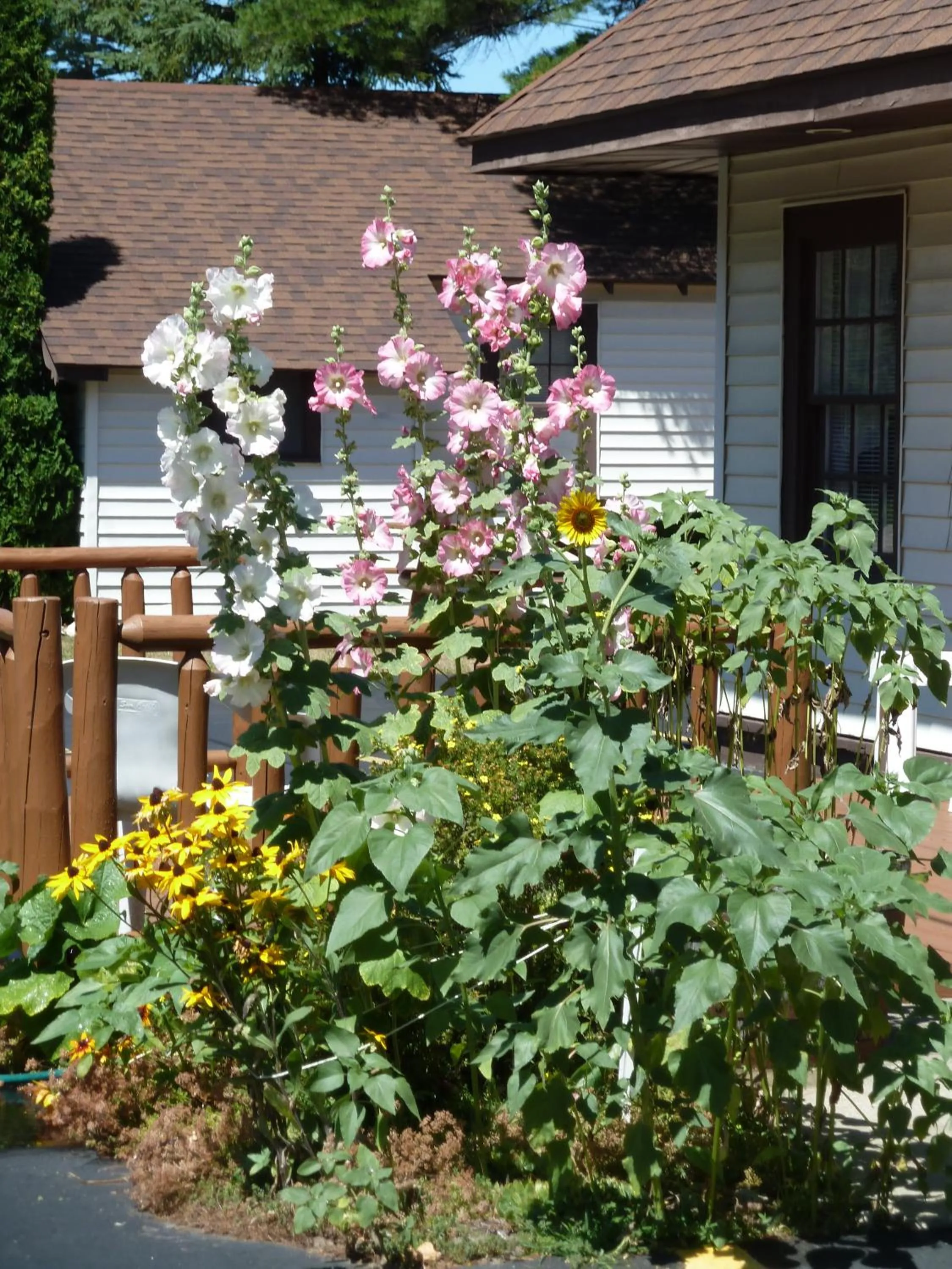 Decorative detail in Beach House Lakeside Cottages
