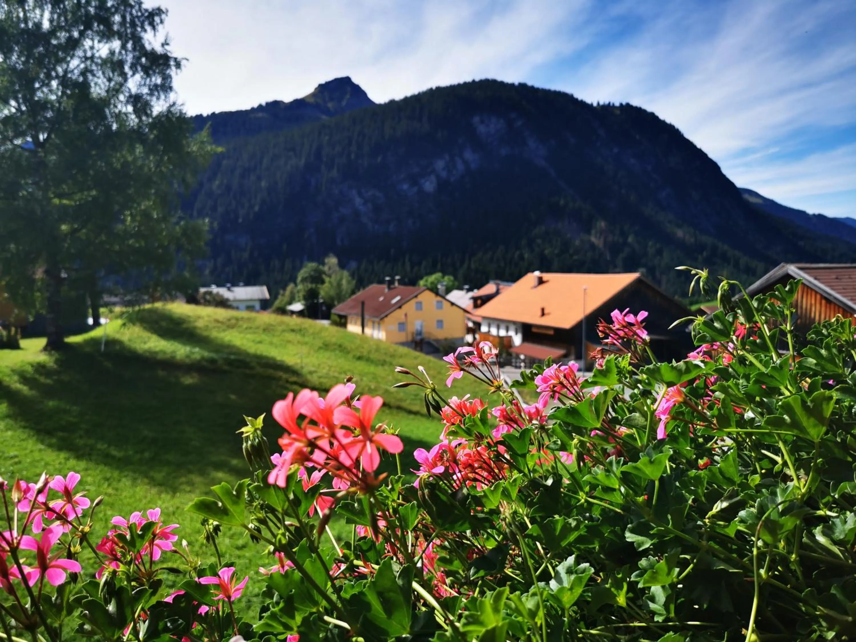 Mountain view in Haus Steinkarblick und Berghäusl