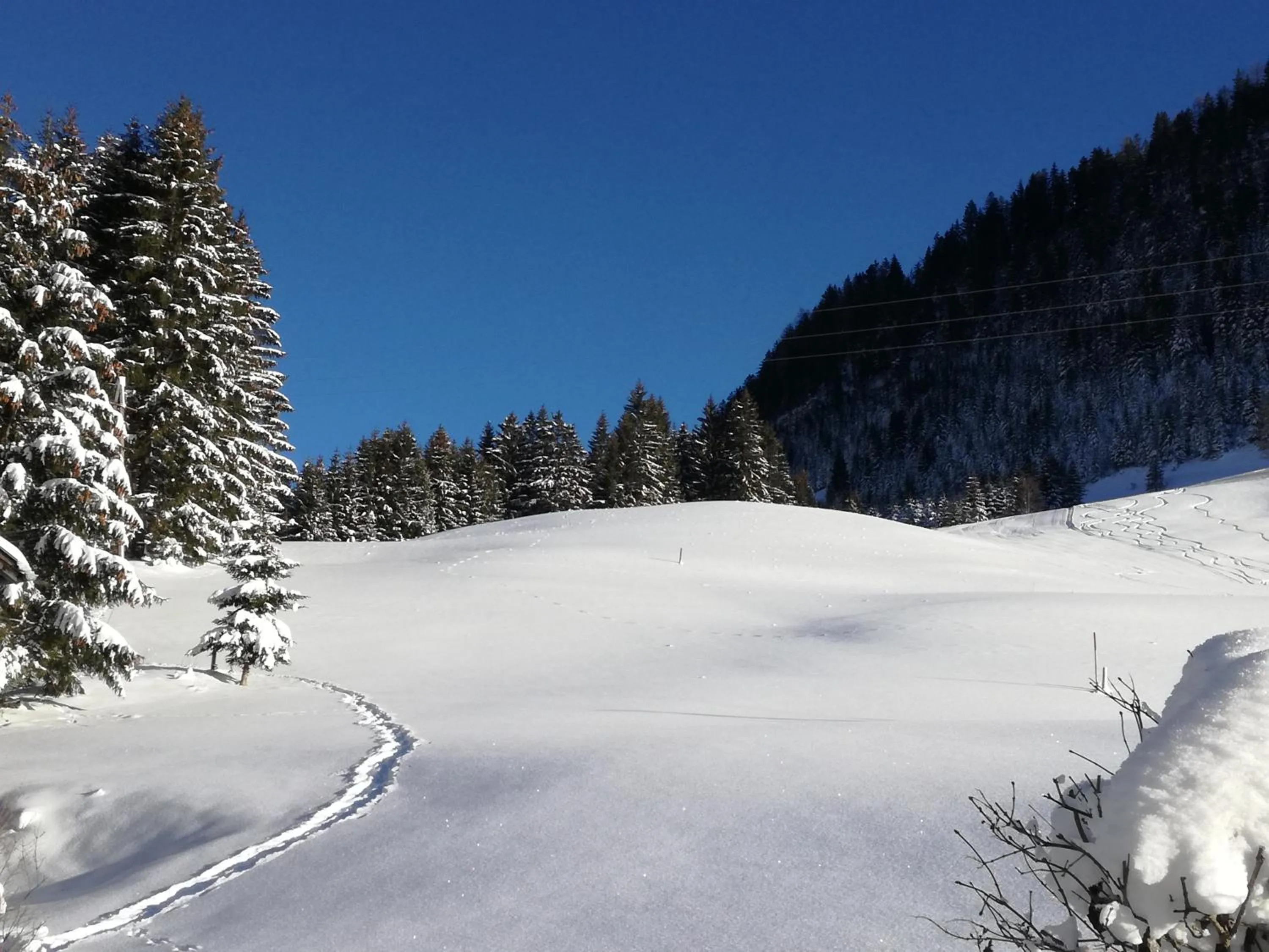 Natural landscape in Haus Steinkarblick und Berghäusl