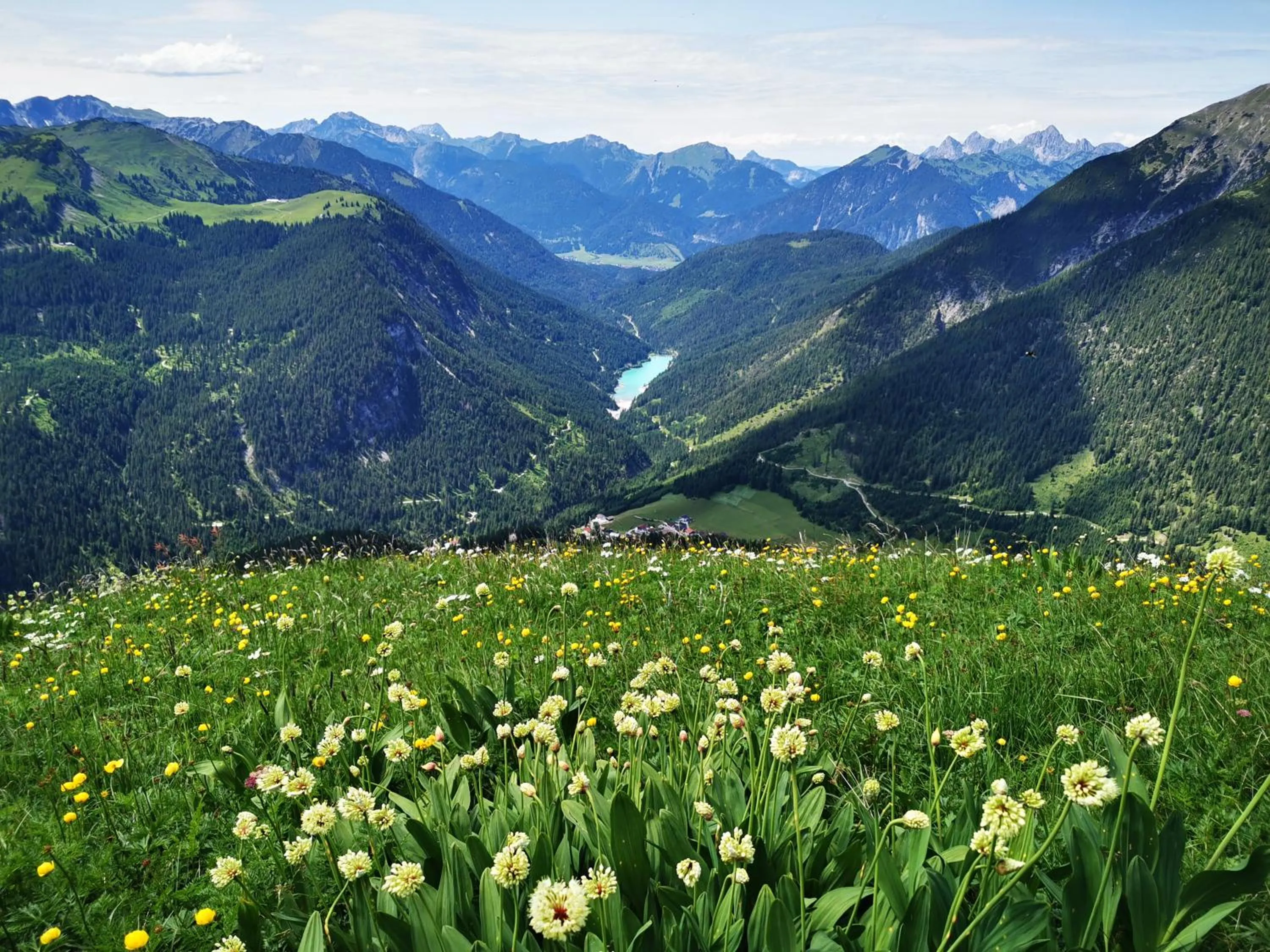 Natural landscape in Haus Steinkarblick und Berghäusl
