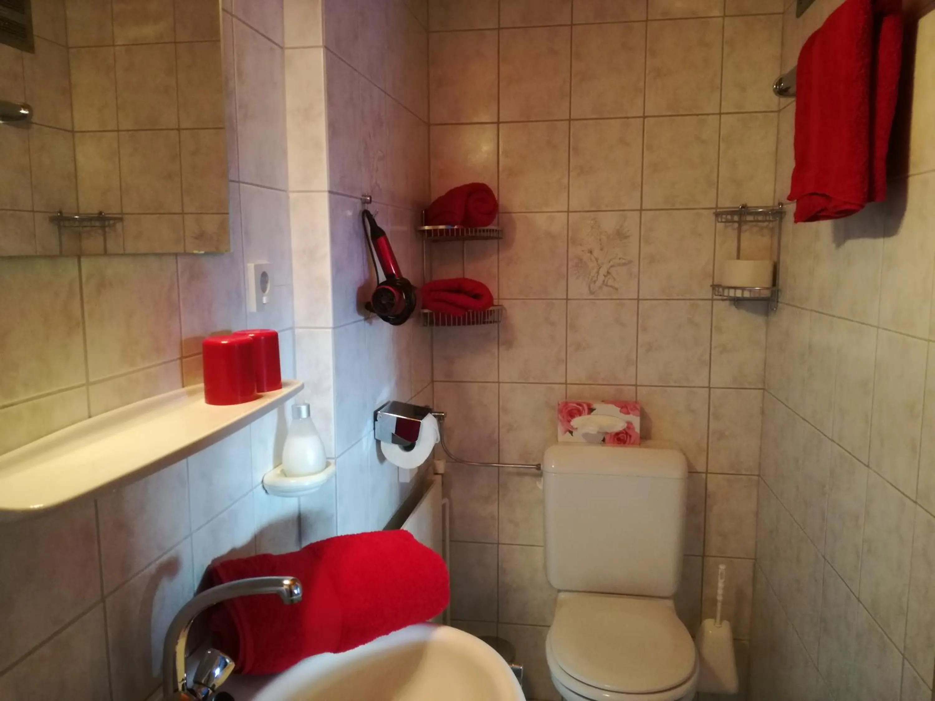 Bathroom in Haus Steinkarblick und Berghäusl