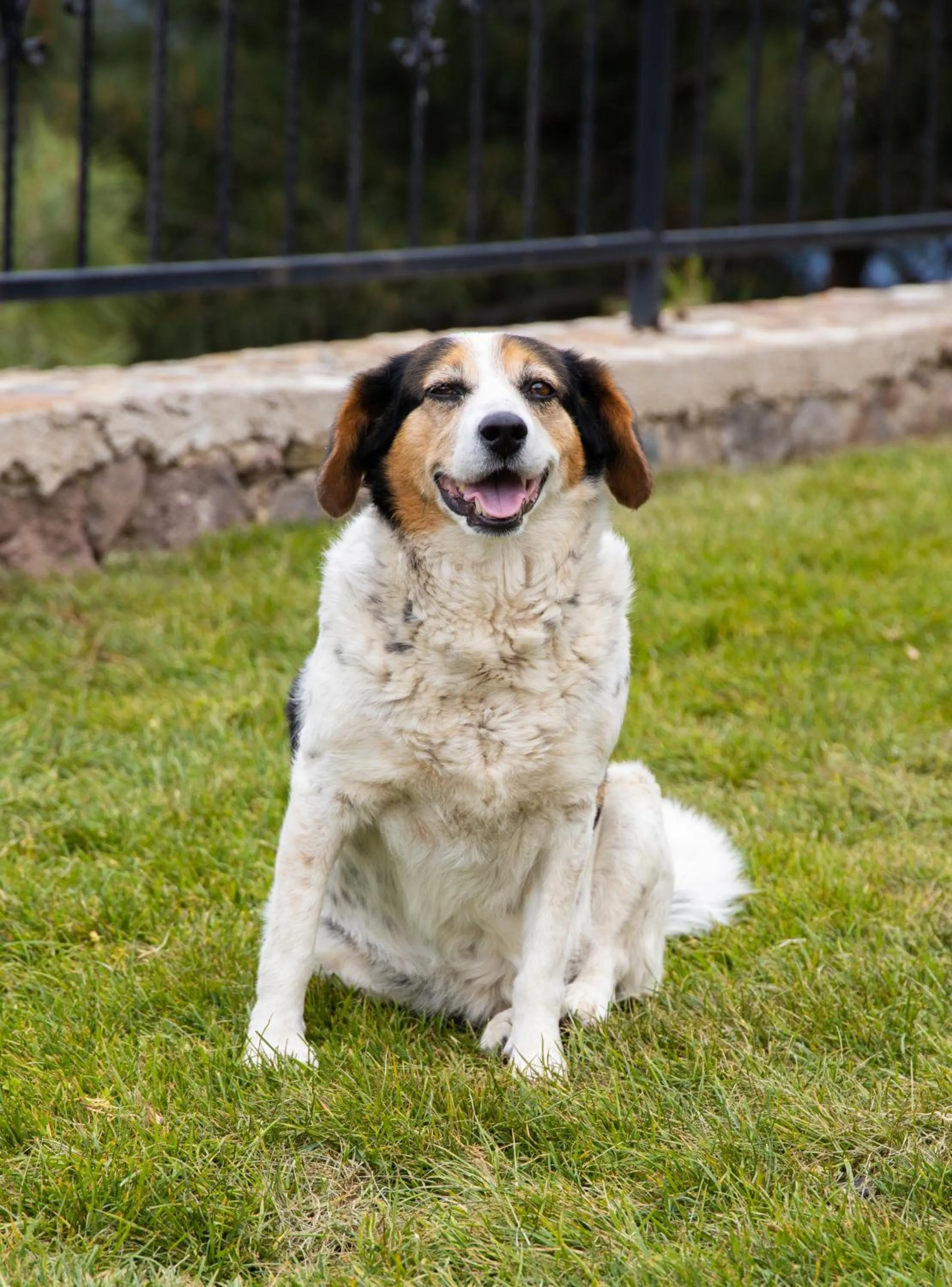 View (from property/room) in Assos Kartal Yuvasi Hotel