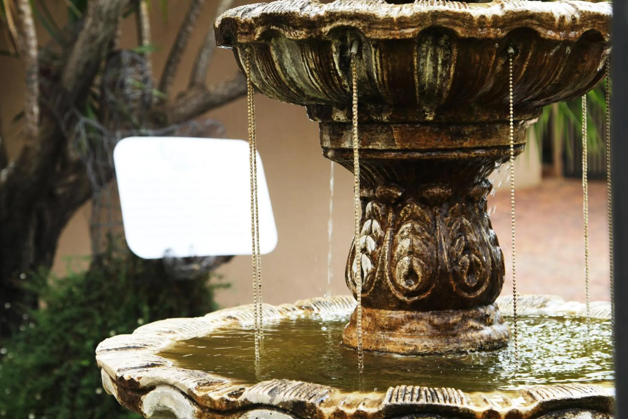 Echo Garden Guesthouse