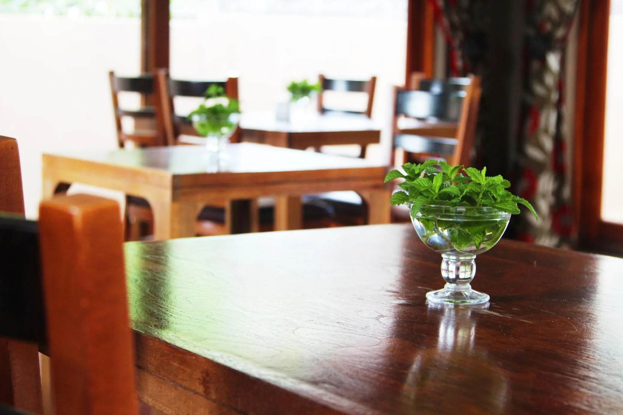 Echo Garden Guesthouse